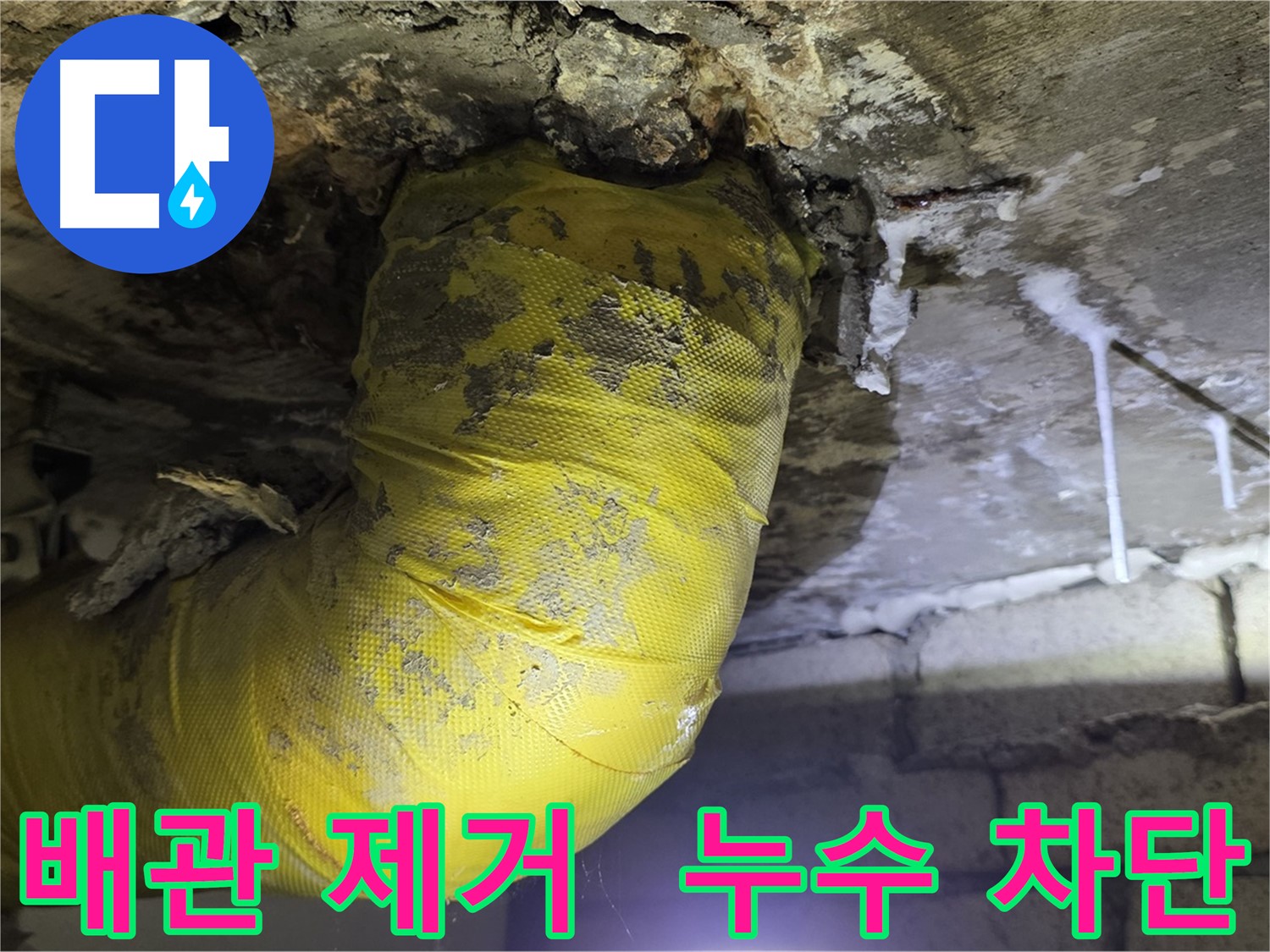 누수 완벽 차단 - 은평구 신사동 누수, 낡은 배관 제거, 곰팡이 완전 박멸