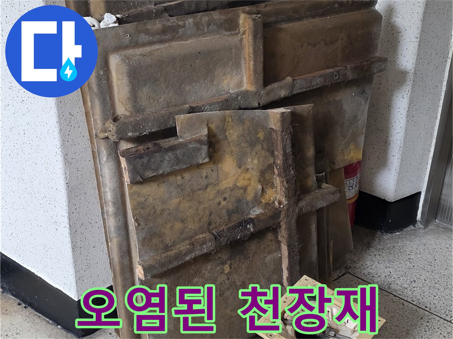 보기에도 끔찍한 오염된 천장재와 조명 - 즉시 폐기