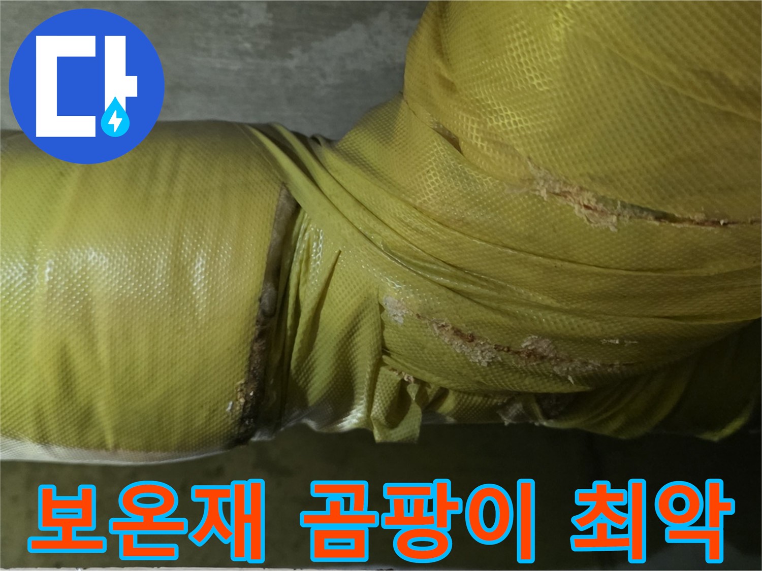 보온재 속 곰팡이 - 실내 공기 최악, 건강 위협 심각, 전문적인 제거 및 관리가 시급합니다.