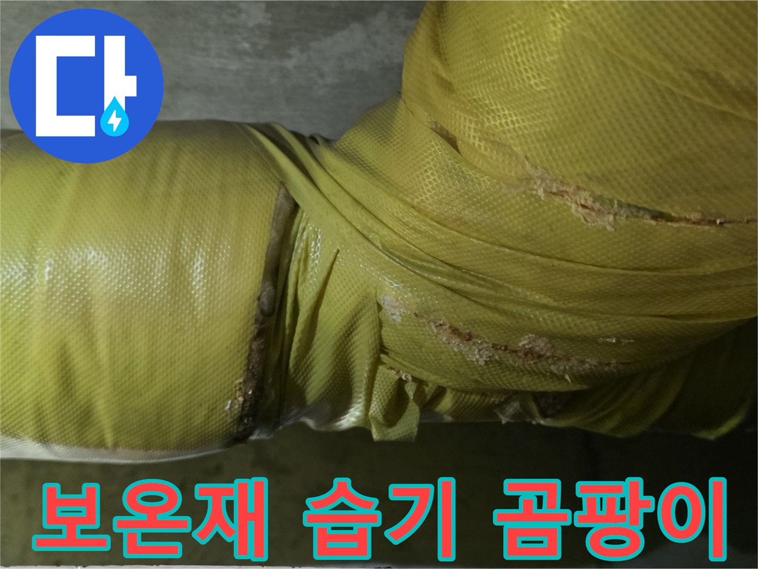 보온재 속 습기 - 곰팡이 냄새 유발, 건강 위협