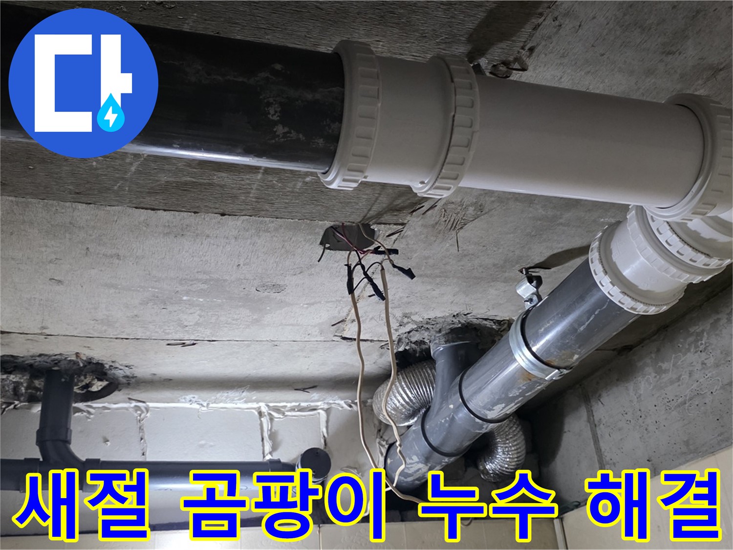 새절 곰팡이 - 누수 문제 해결이 먼저!