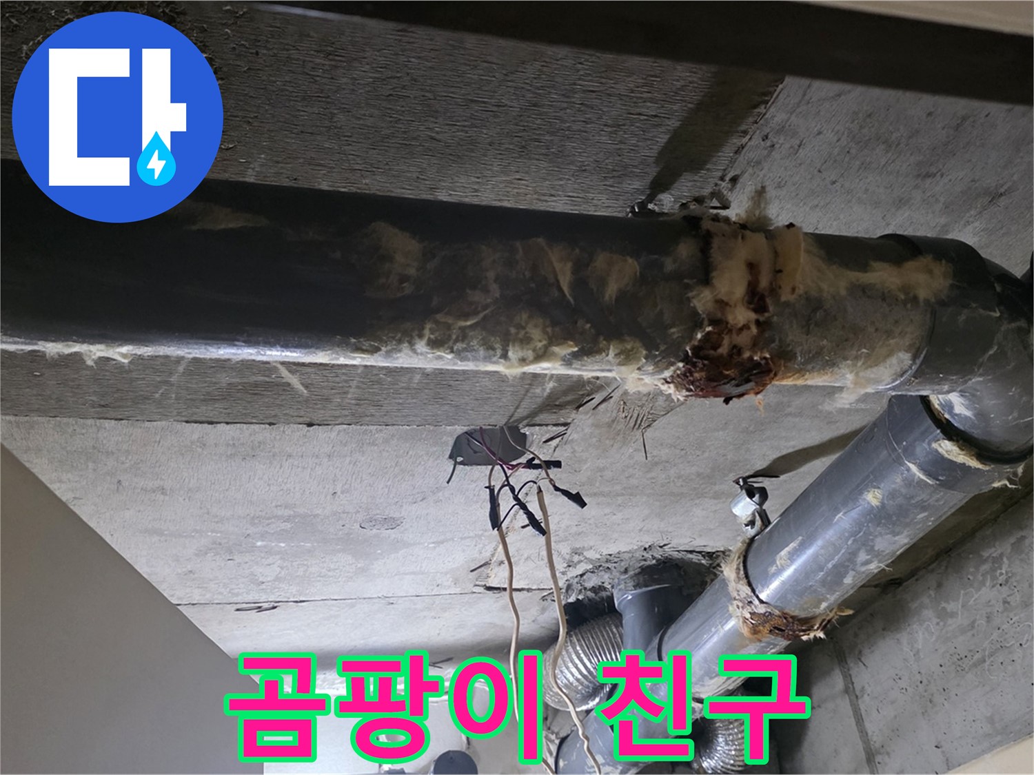 새절역 현대아파트 - 곰팡이 핀 보온재, 건강까지 위협하는 무서운 친구