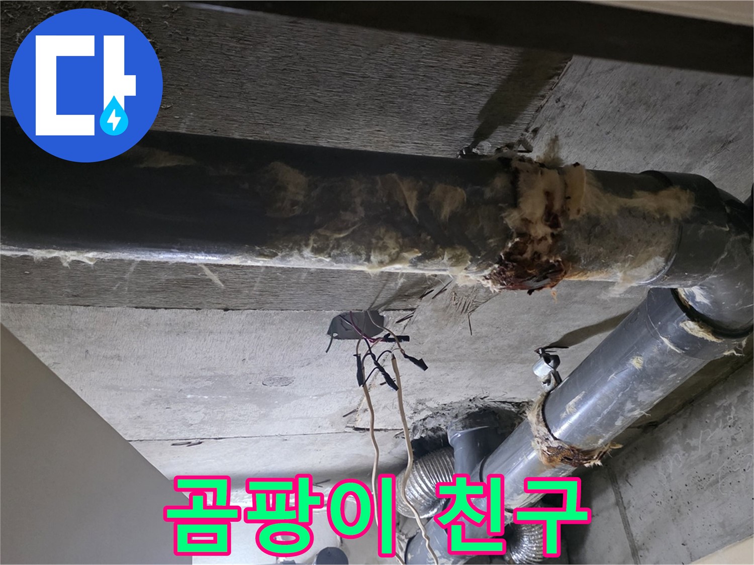 새절역 현대아파트 - 곰팡이 핀 보온재, 건강까지 위협하는 무서운 친구