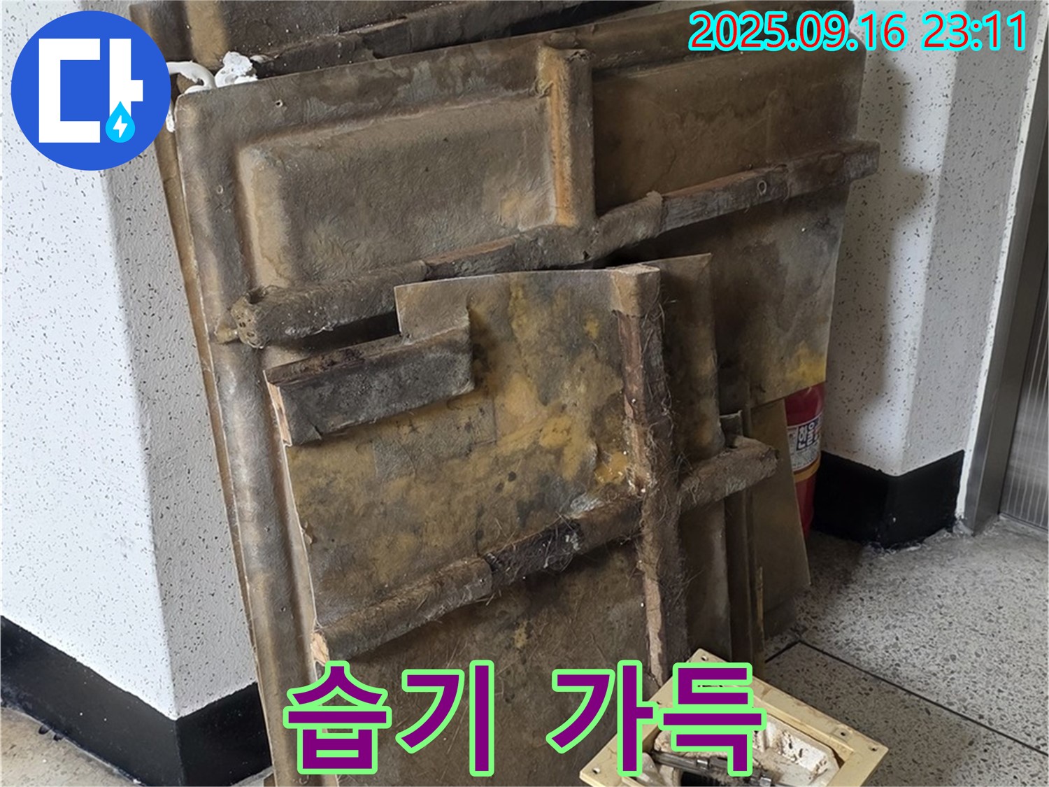 새절역 현대아파트 누수 - 습기를 머금은 폐기될 텍스와 조명