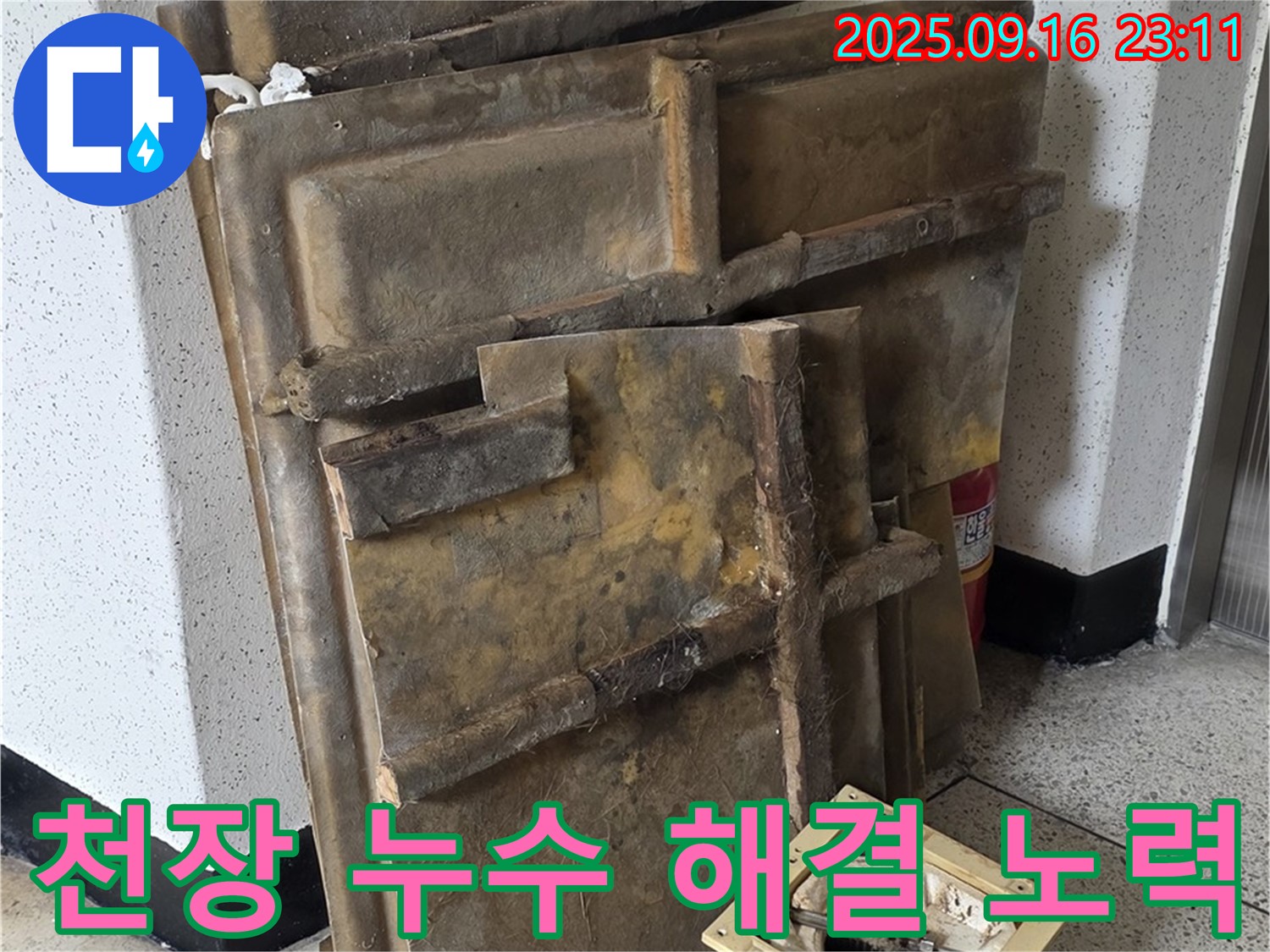새절역 현대아파트 누수 - 천장 누수 해결을 위해 꼼꼼하게 작업하는 모습