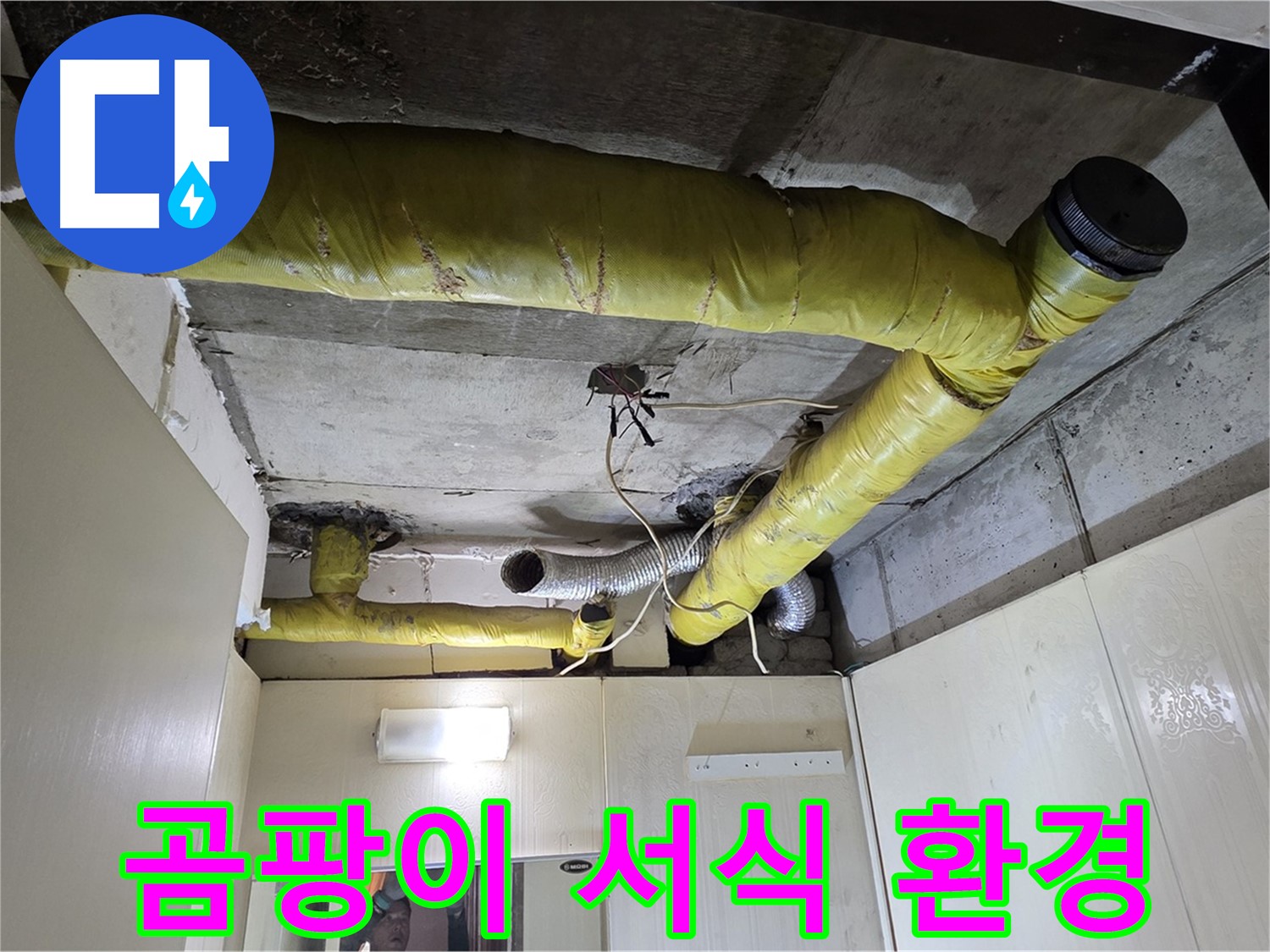 새절역 현대아파트 - 습기 머금은 보온재