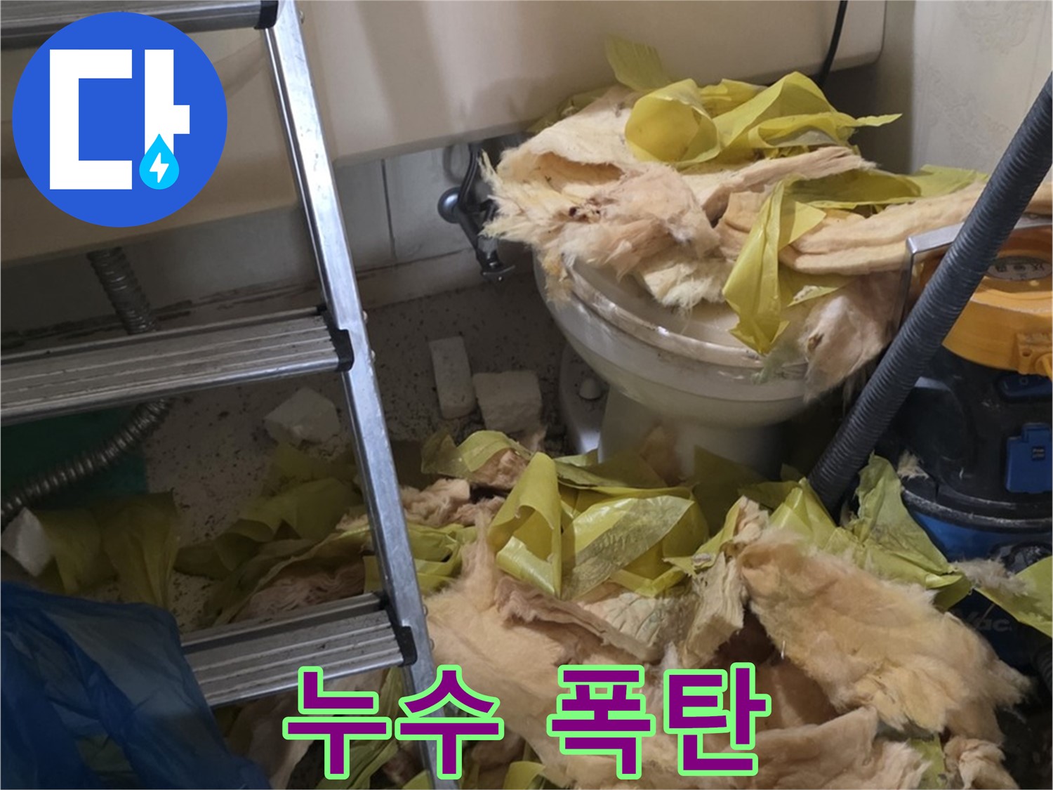 은평구 신사동 누수 - 보온재 속 숨은 누수 폭탄