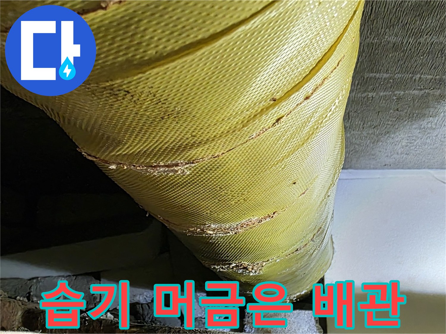 습기 머금은 배관 - 곰팡이 발생 - 누수 위험 증가