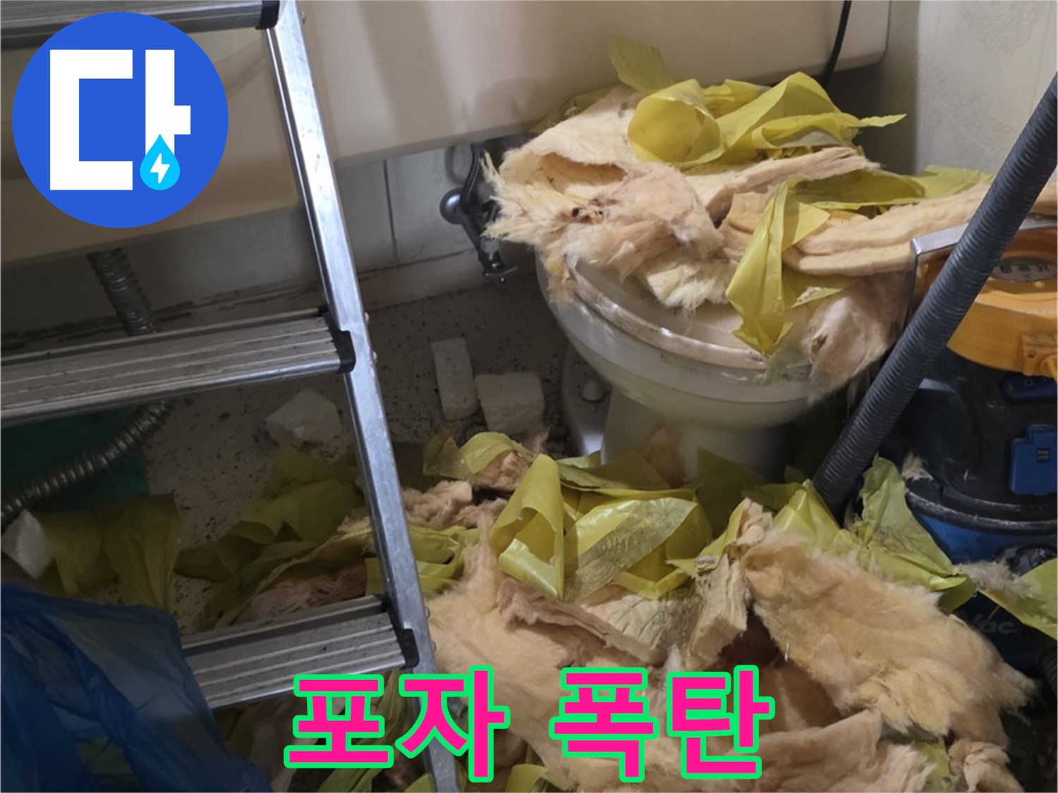 신사동 누수 현장 - 곰팡이 포자 가득한 낡은 보온재 - 알레르기 유발