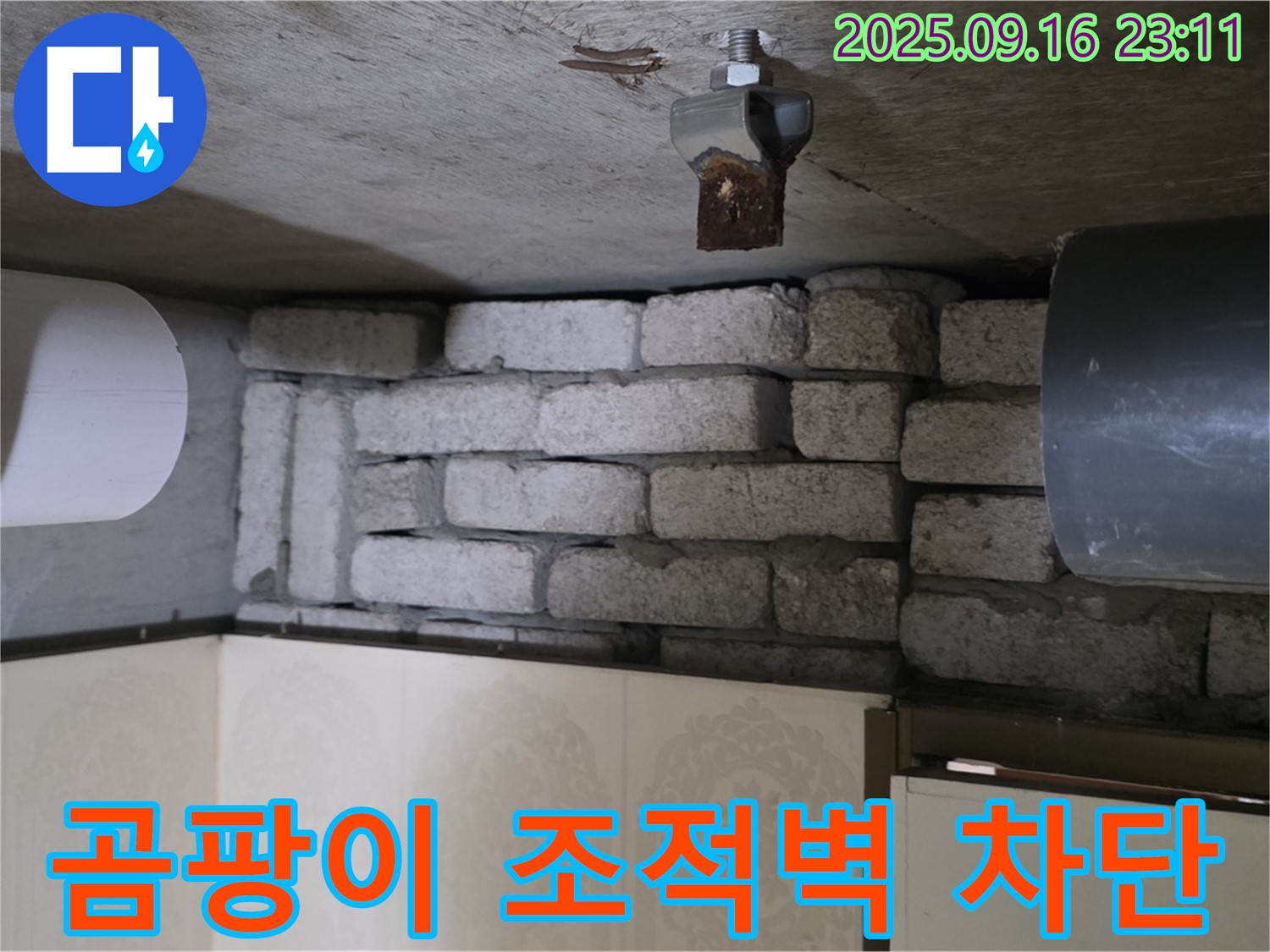 신사동 새절역 현대아파트 누수 해결 - 곰팡이 조적벽 누수 원인 완벽 차단! 곰팡이와 누수, 이제 안녕!