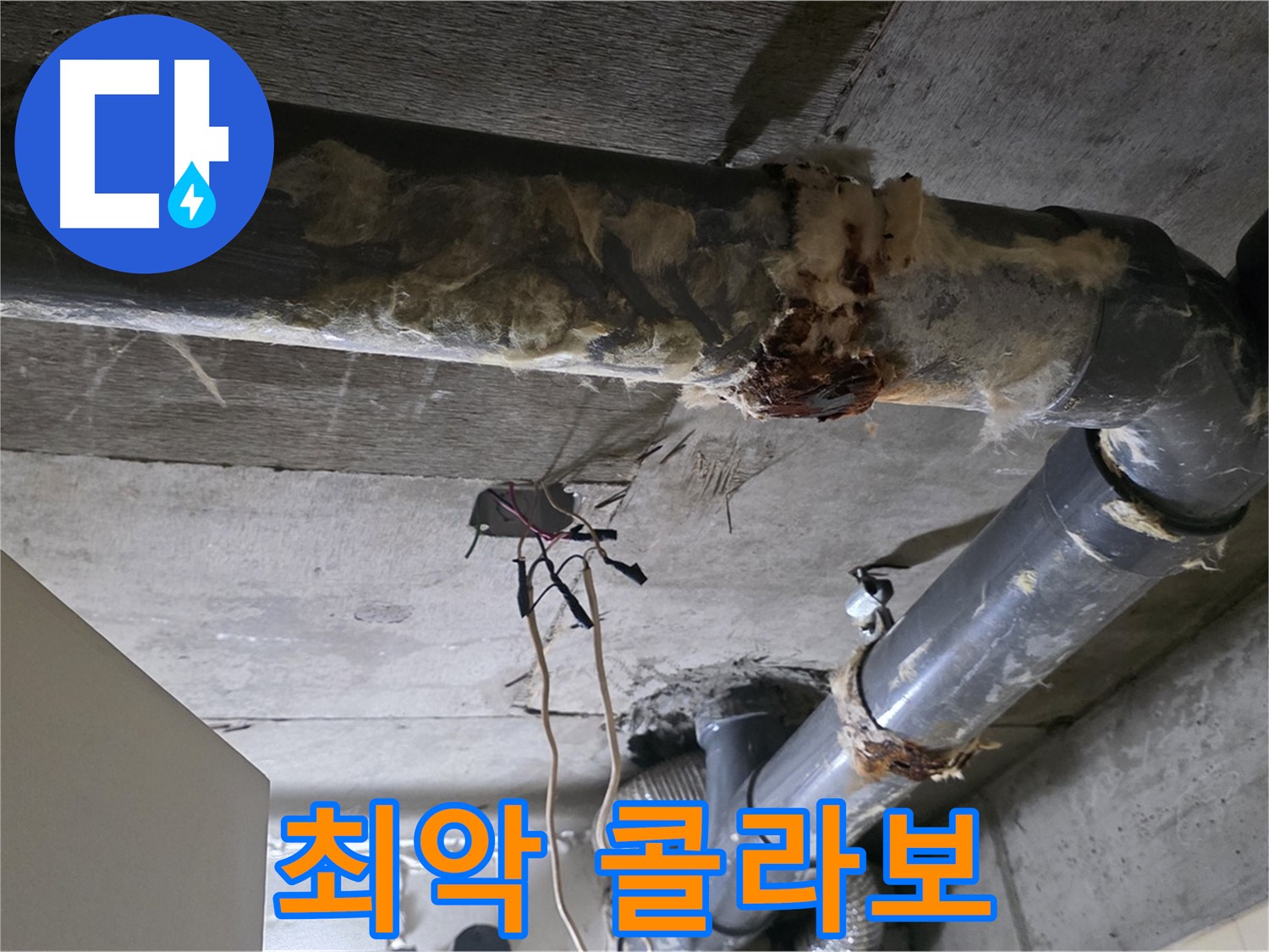 신사동 새절역현대아파트 누수 - 곰팡이와 부식의 오수 배관 누수