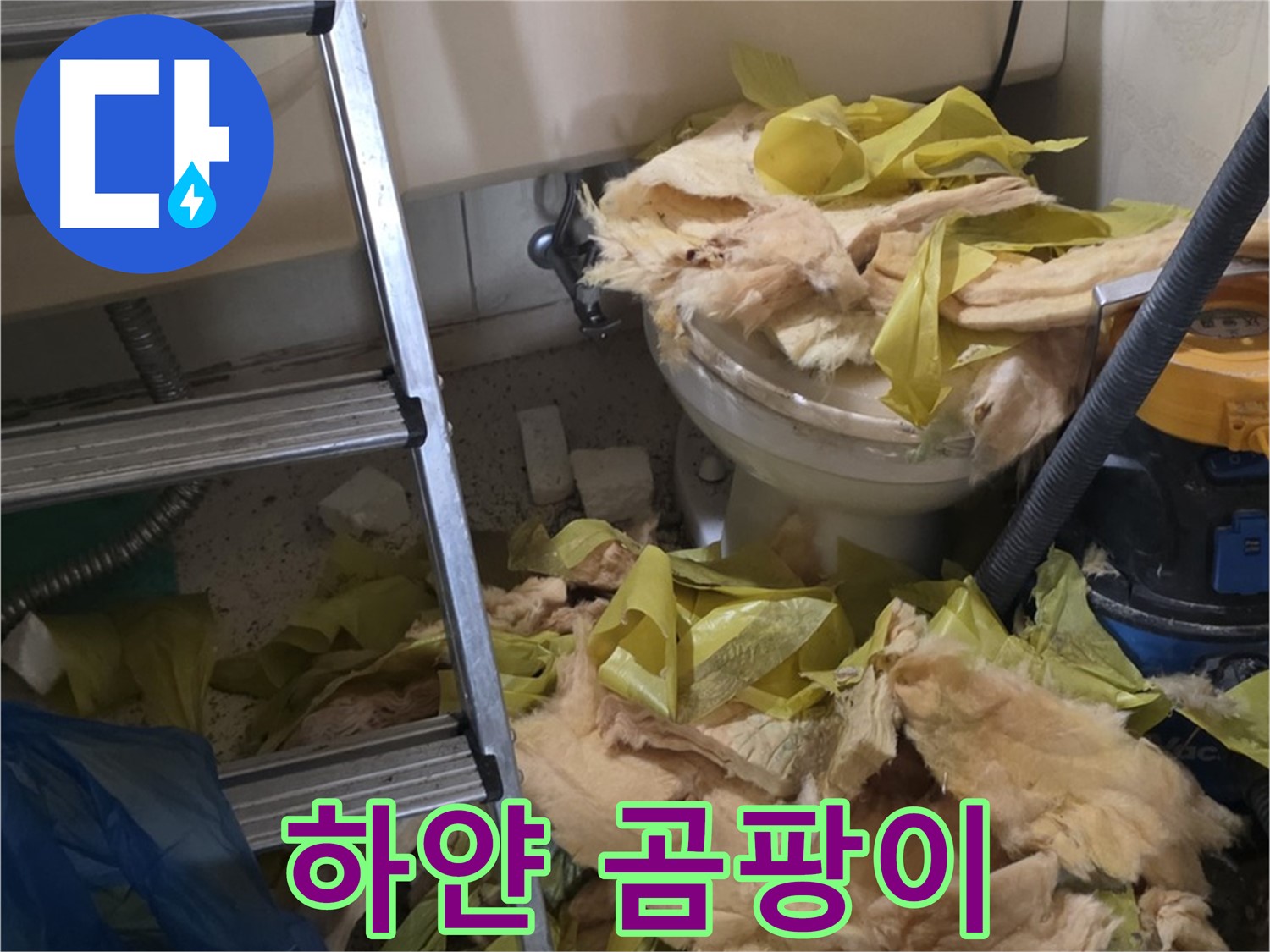 신사동 새절역현대아파트 누수 - 보온재 속 하얀 곰팡이, 건강 위협 - 주의