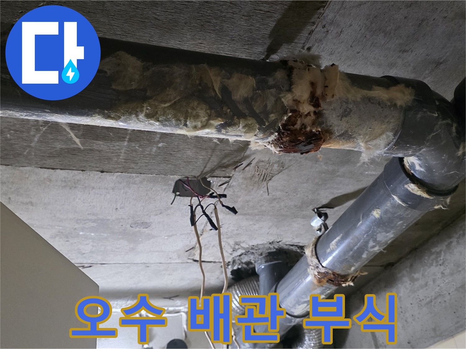 신사동 새절역현대아파트 누수 - 오수 배관 부식 긴급 점검