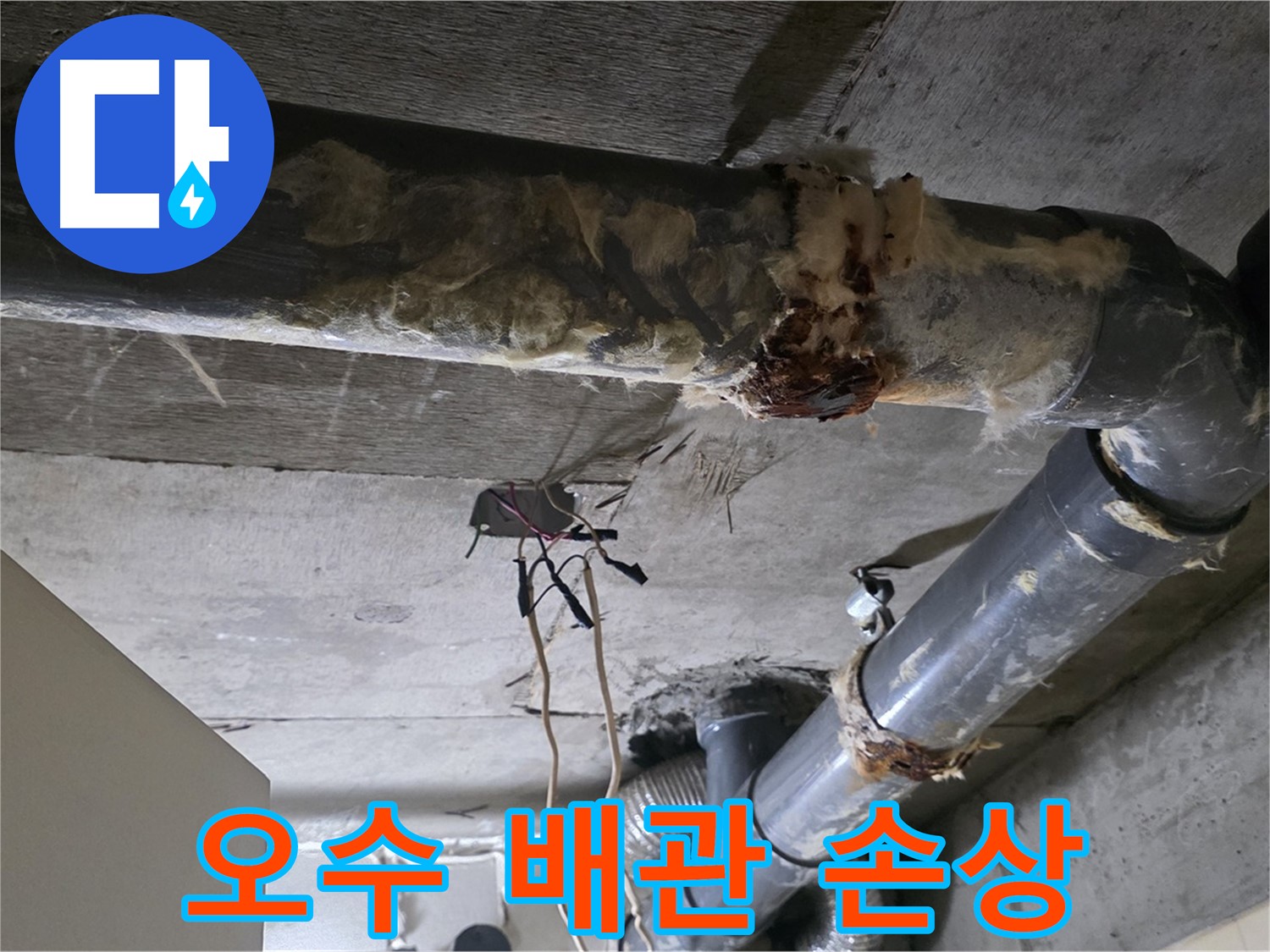 신사동 새절역현대아파트 누수 - 오수 배관 손상으로 긴급 보수 진행