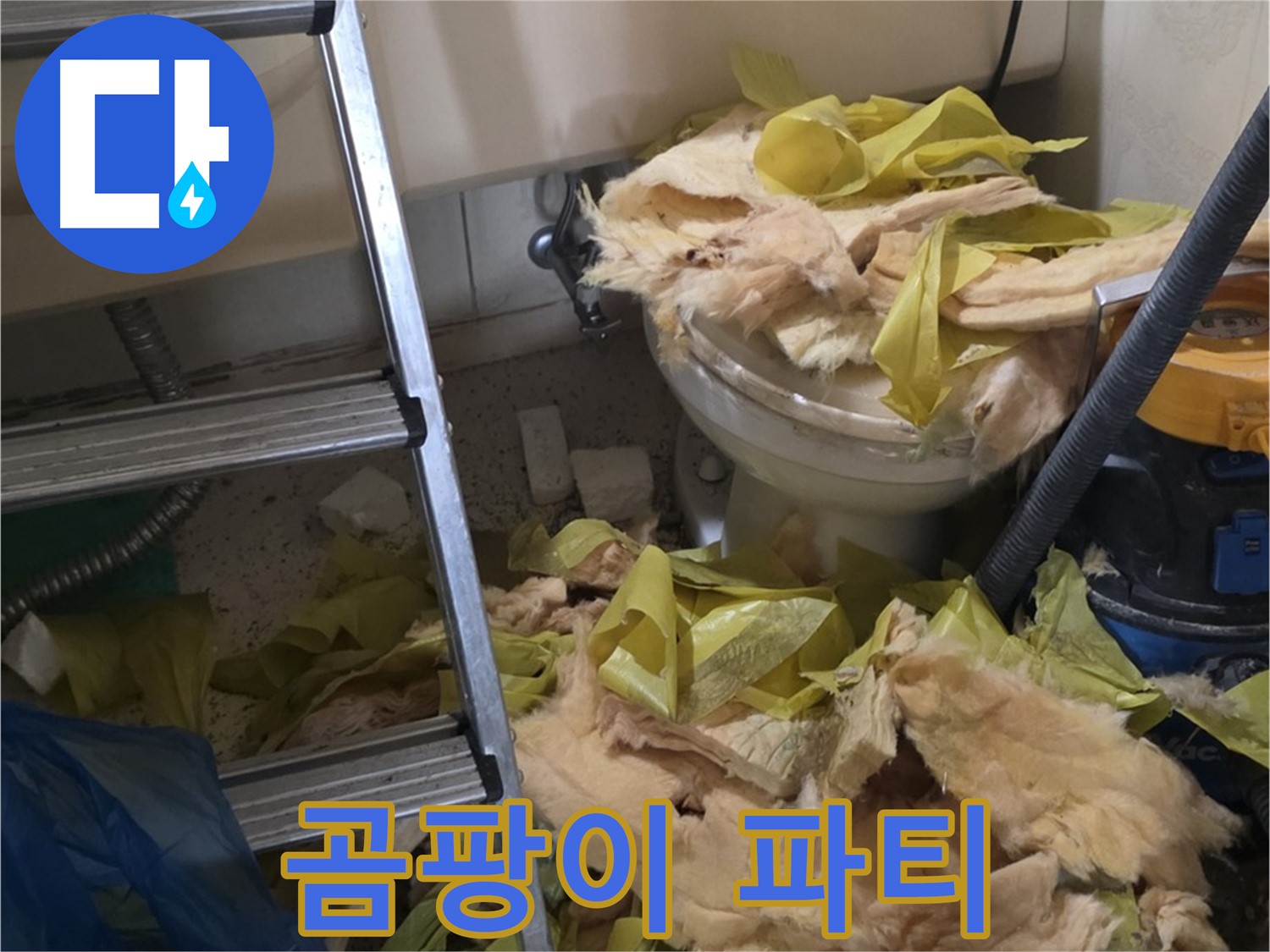 신사동 새절역현대아파트 누수 현장 - 보온재 속 배관에 곰팡이 번식