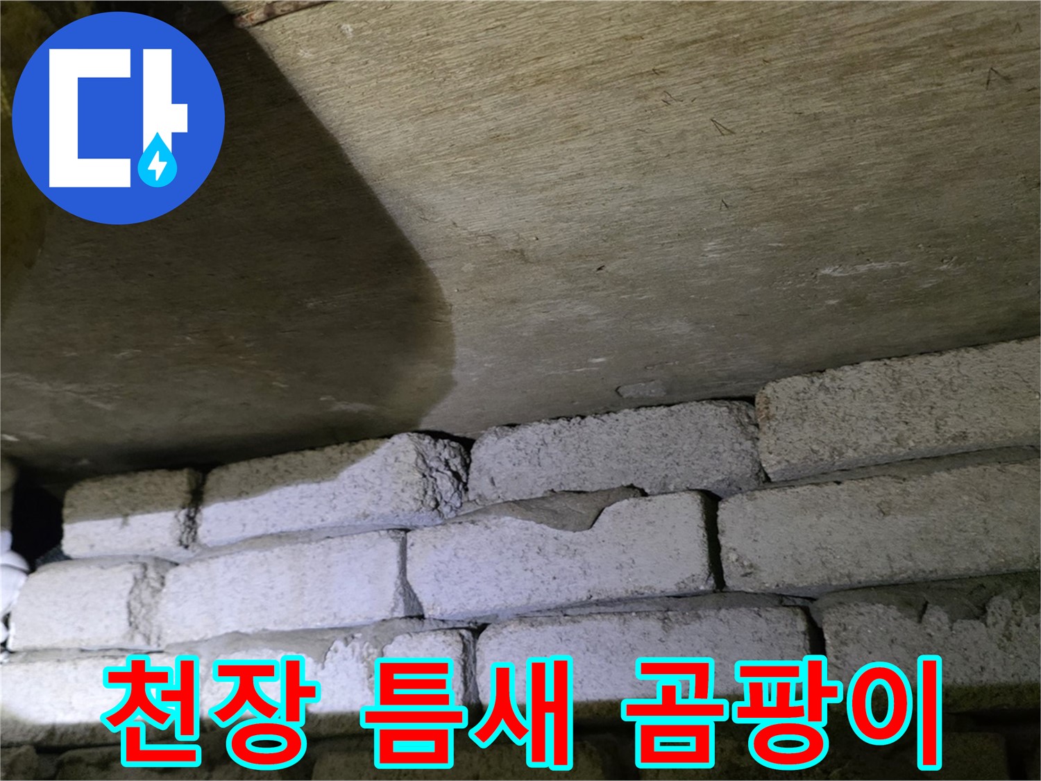 신사동 주택 누수 - 천장 벽돌 틈새 습기 및 곰팡이 발생