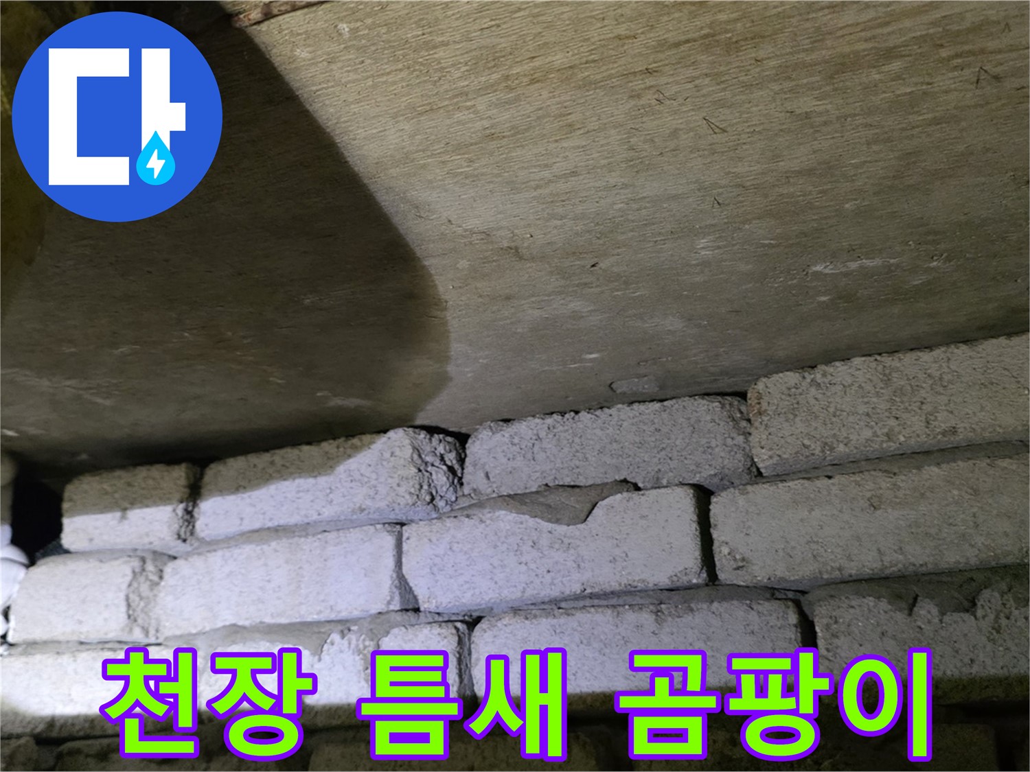 신사동 주택 누수 - 천장 벽돌 틈새 습기 및 곰팡이 발생