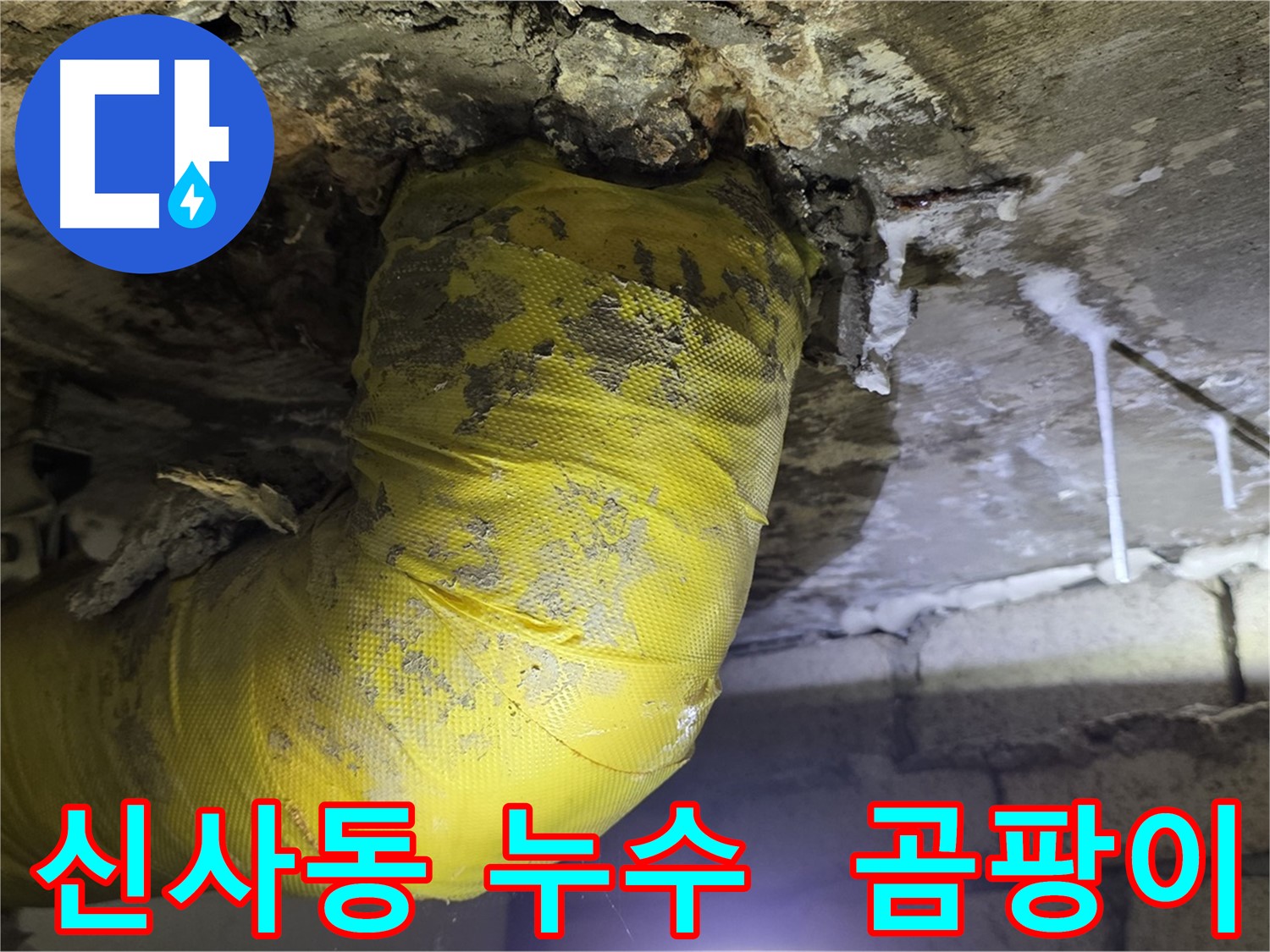심각하게 곰팡이가 핀 하수 배관 - 은평구 누수 현장