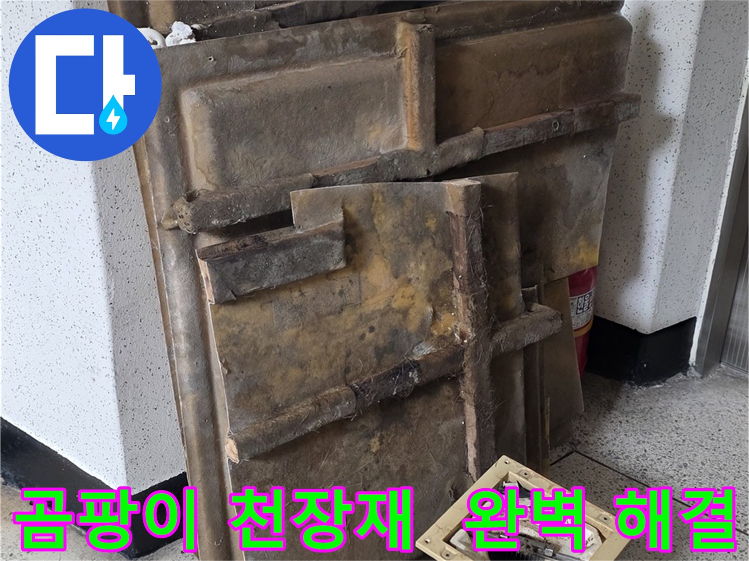 곰팡이 핀 천장재와 조명 - 누수 완벽 해결