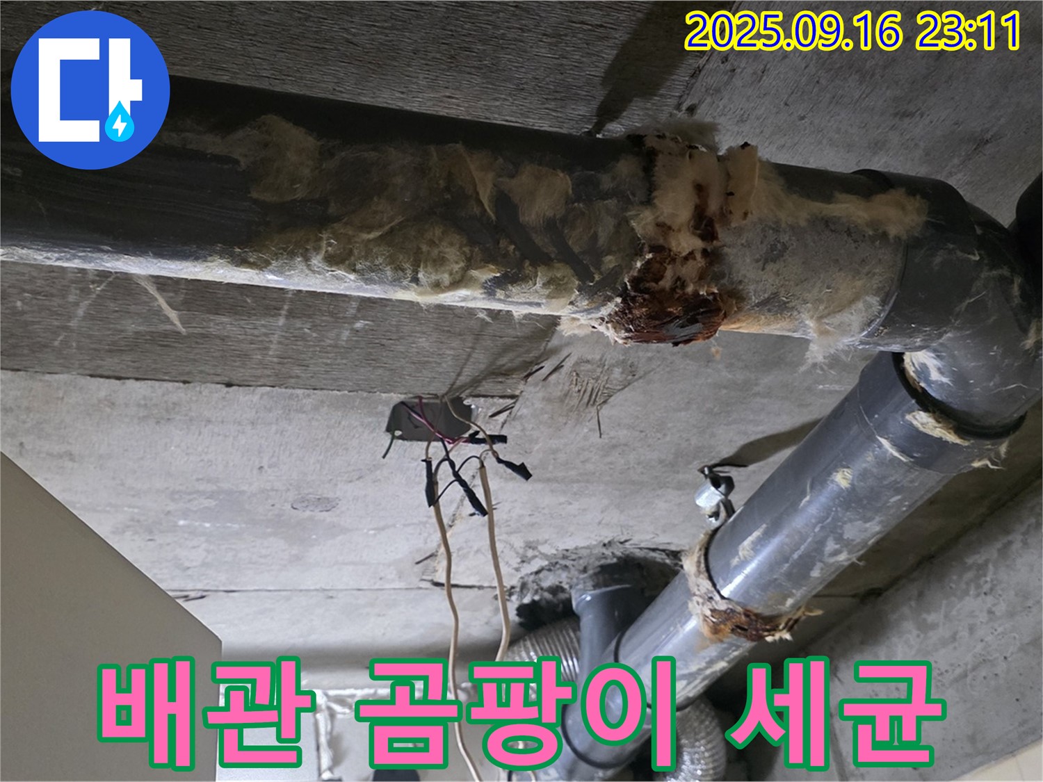 은평구 신사동 새절역 현대아파트 누수 - 낡은 배관은 곰팡이와 세균의 온상이 될 수 있습니다.