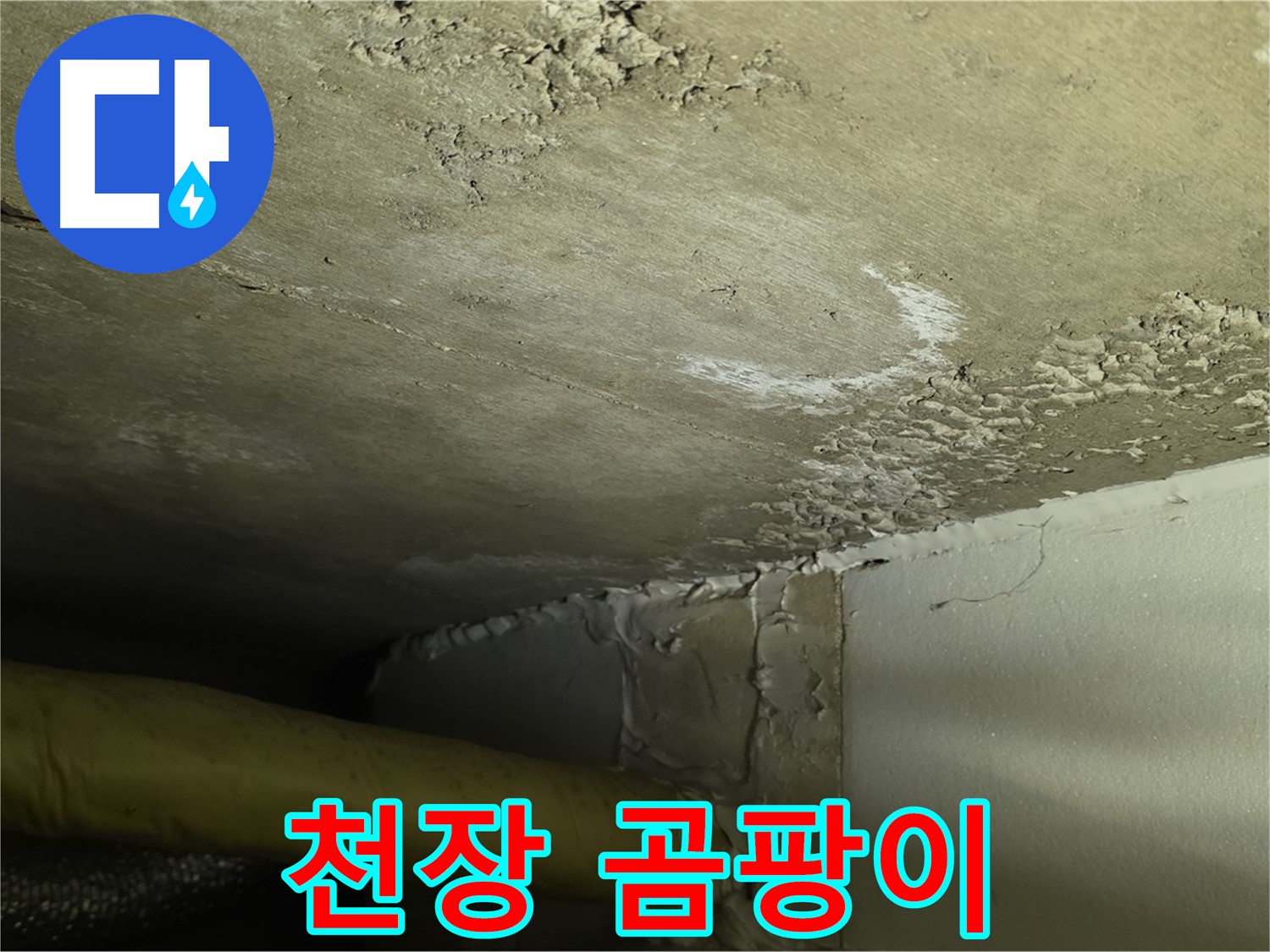 천장 곰팡이 - 건강 위협 - 철저한 제거 및 방지 필요