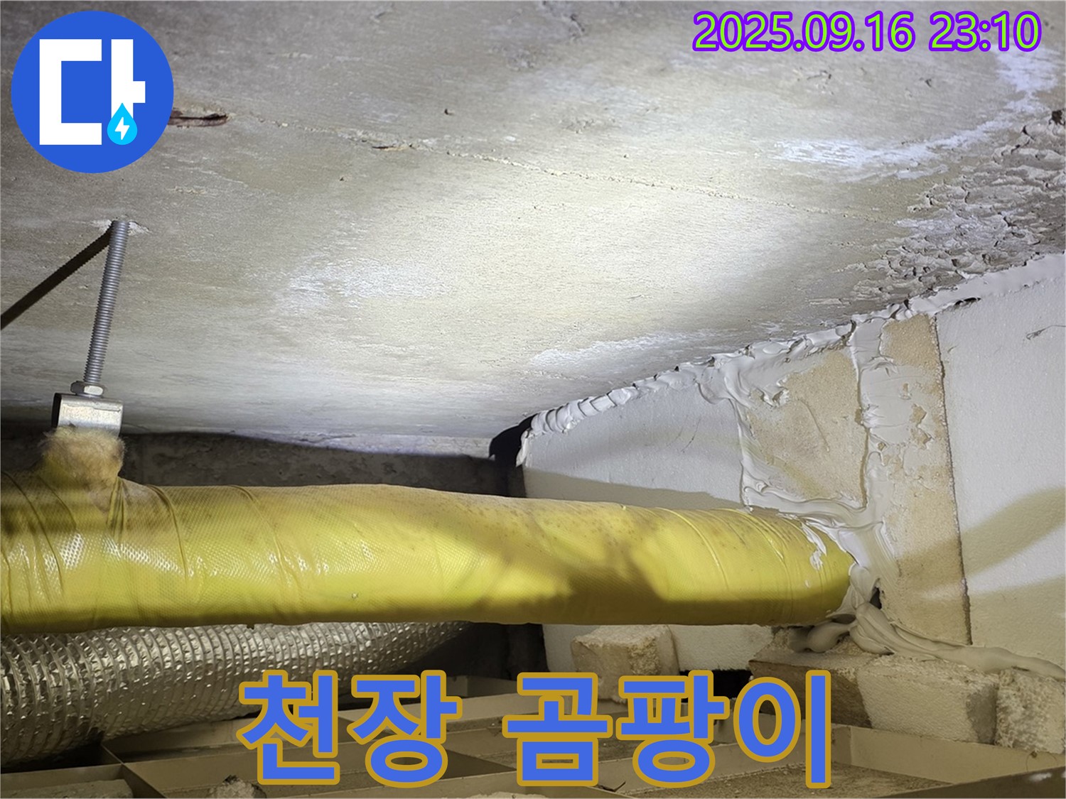 천장 곰팡이 - 천장에 곰팡이가 발생한 모습입니다.