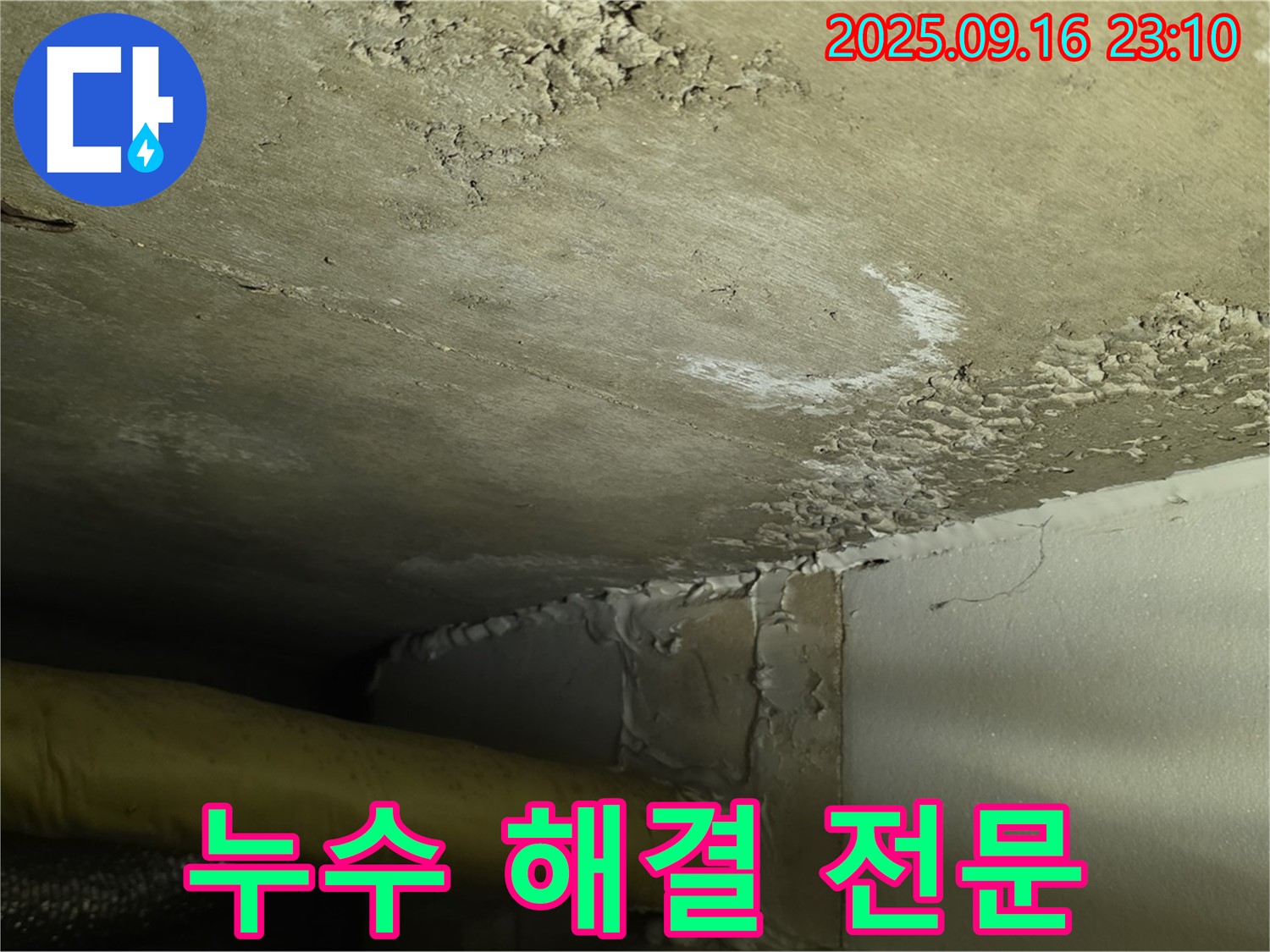 천장 누수 해결 전문 - 꼼꼼한 진단과 확실한 시공으로 해결