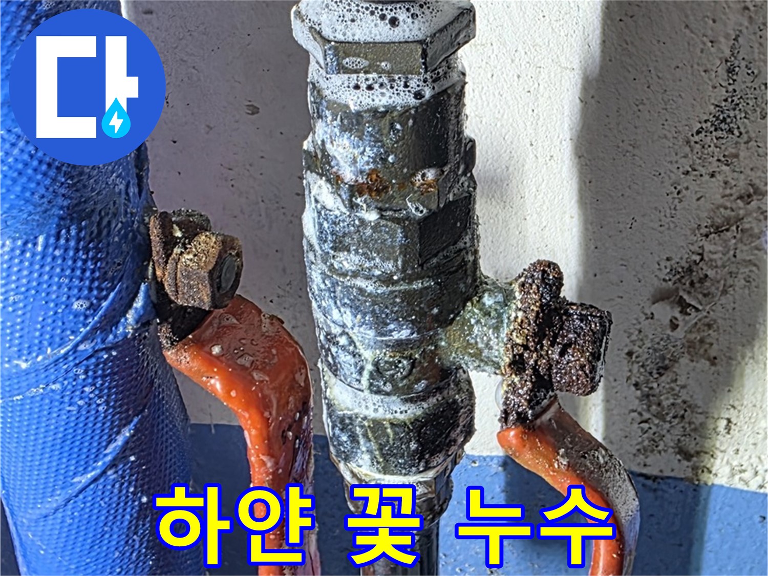 광명2동 누수 - 밸브에 핀 하얀 꽃 - 누수 의심