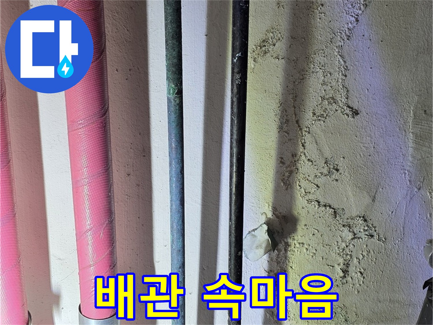 광명시 누수탐지 - 첨단 장비로 배관 내부 상태 확인