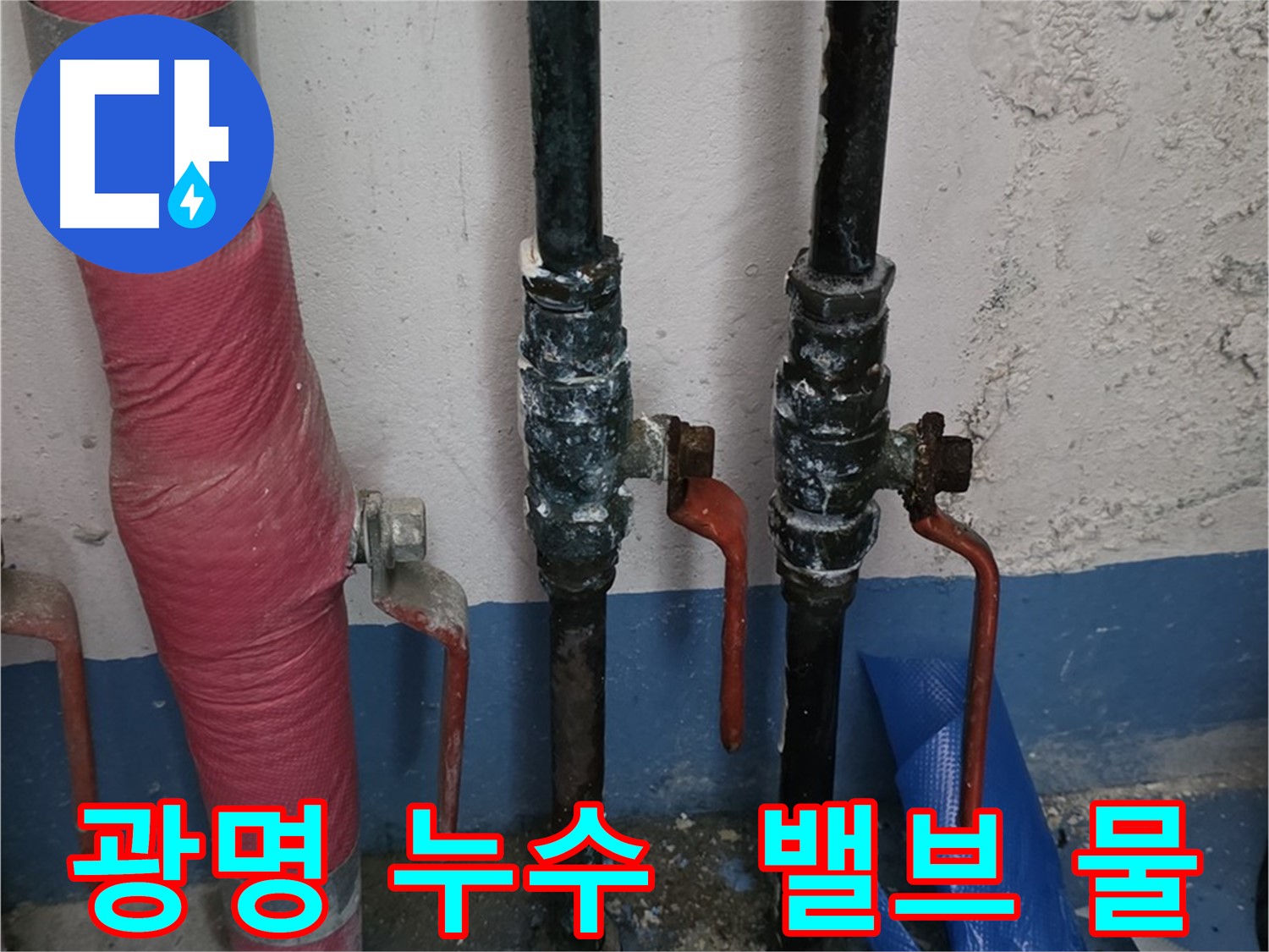 밸브 주변 물 흥건 - 광명 누수 긴급 점검