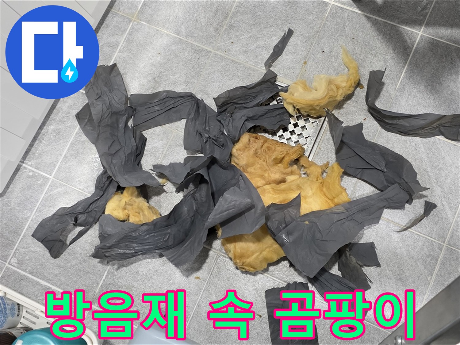 젖은 방음재 속 곰팡이 - 건강 위협