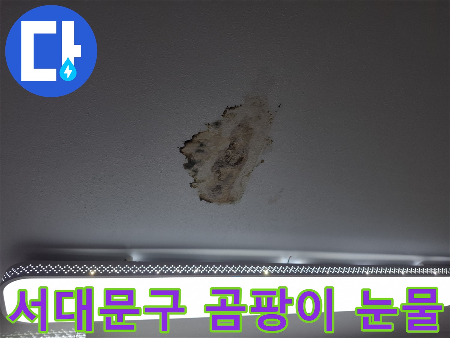곰팡이 핀 천장 - 누수 원인 파악과 해결의 시급성