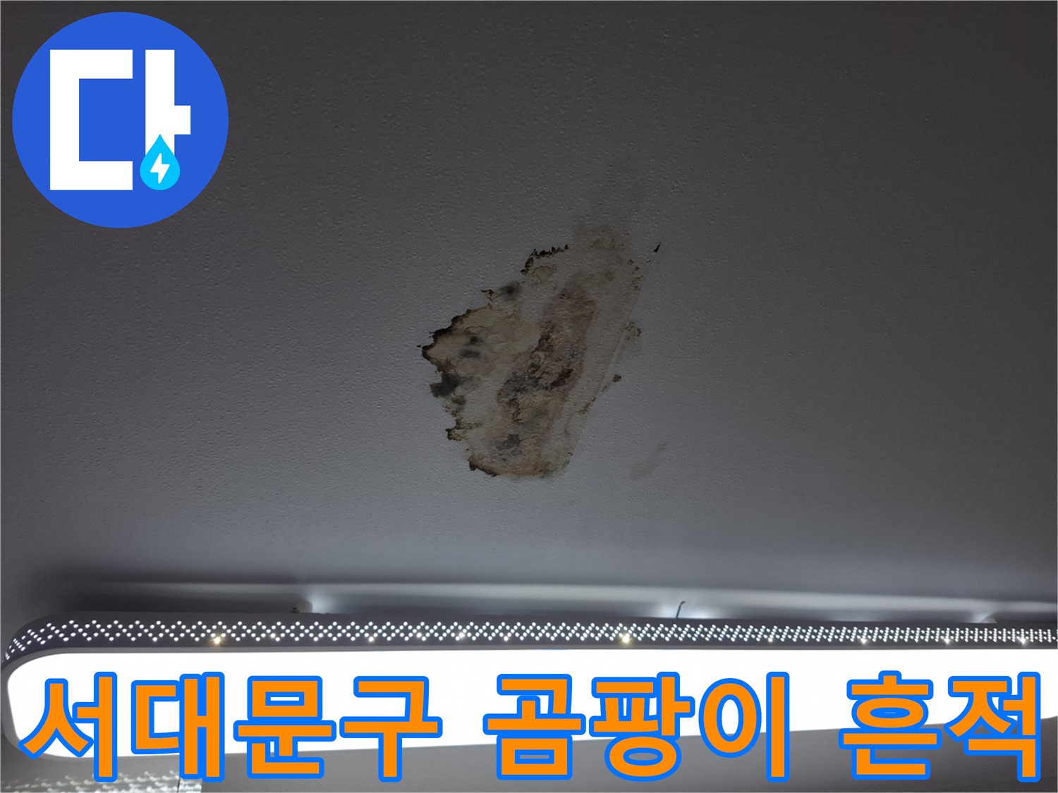 곰팡이 천장 - 고통의 흔적입니다