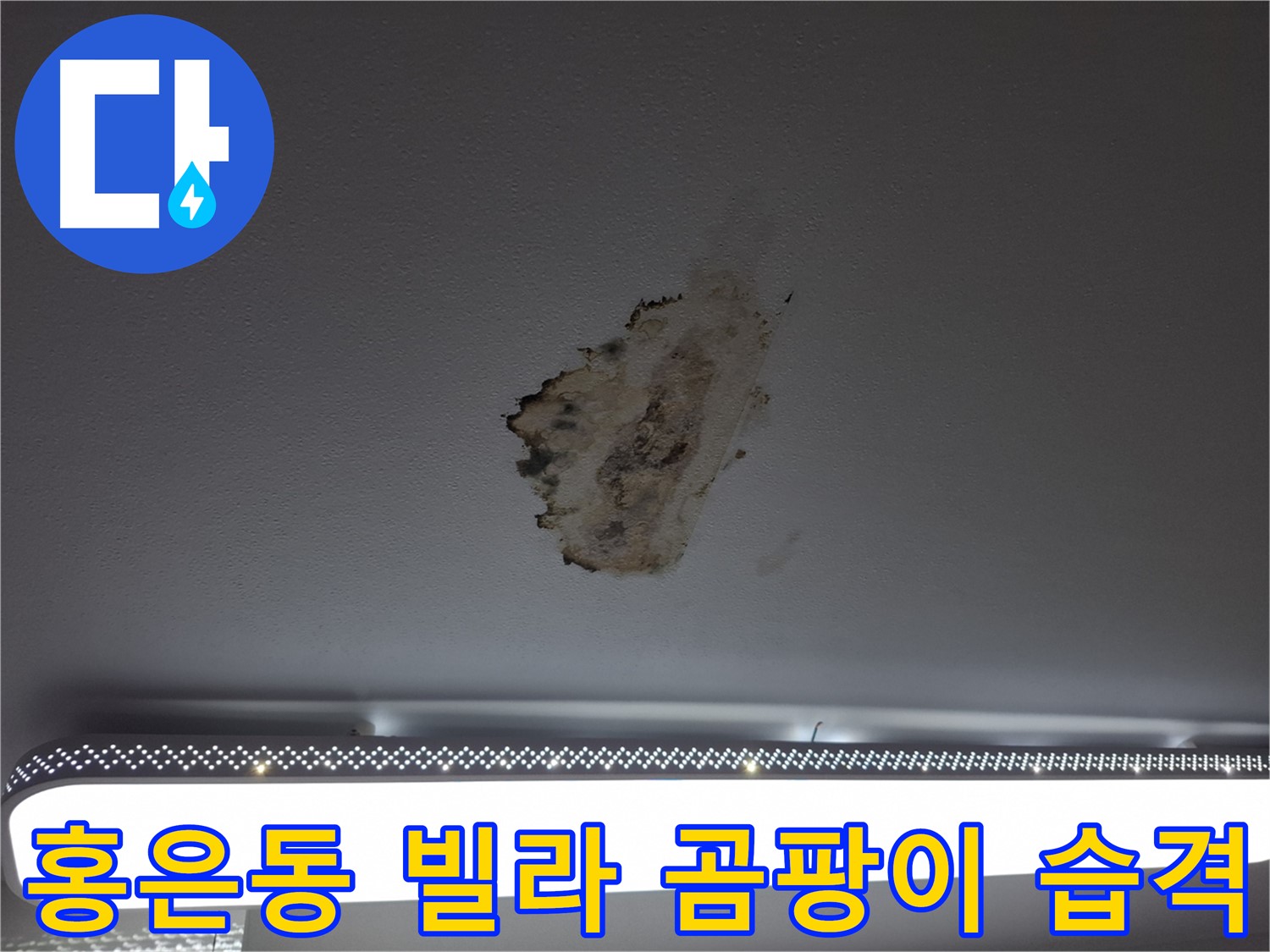 젖은 천장과 곰팡이 - 빌라 누수의 심각한 흔적