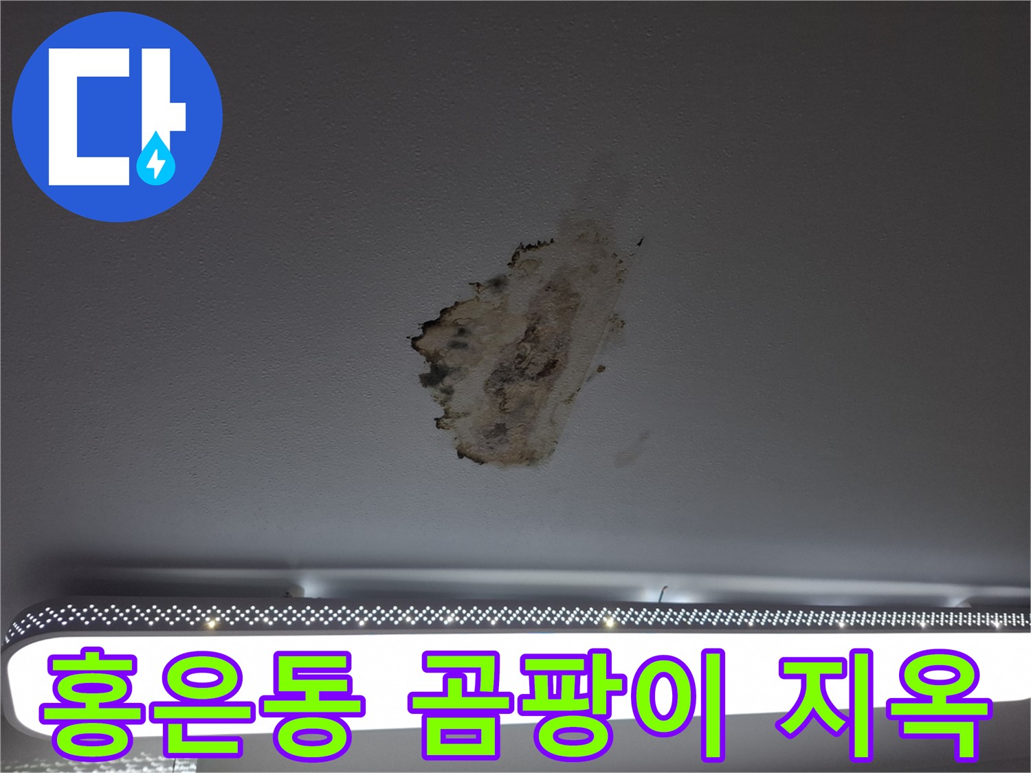 천장 곰팡이 - 곰팡이 지옥에서 벗어나 쾌적한 환경으로