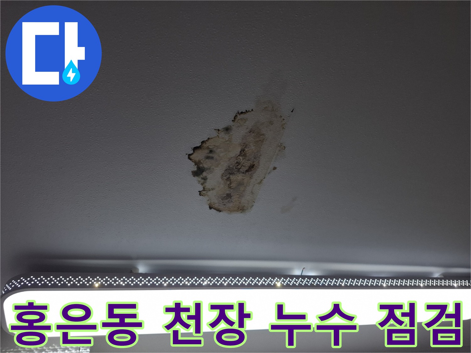 젖은 천장과 곰팡이 - 장기간 누수로 인한 건물 손상