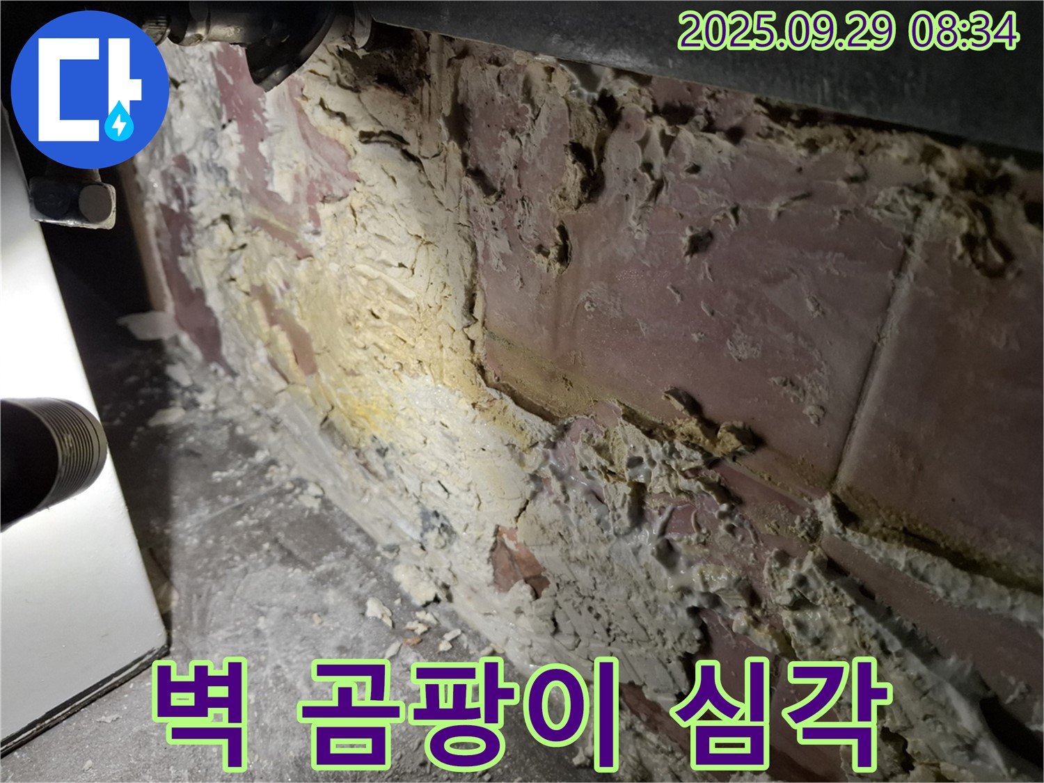 홍은빌라 벽 곰팡이 - 누수로 인해 벽 전체에 곰팡이가 심각하게 번식한 모습입니다.
