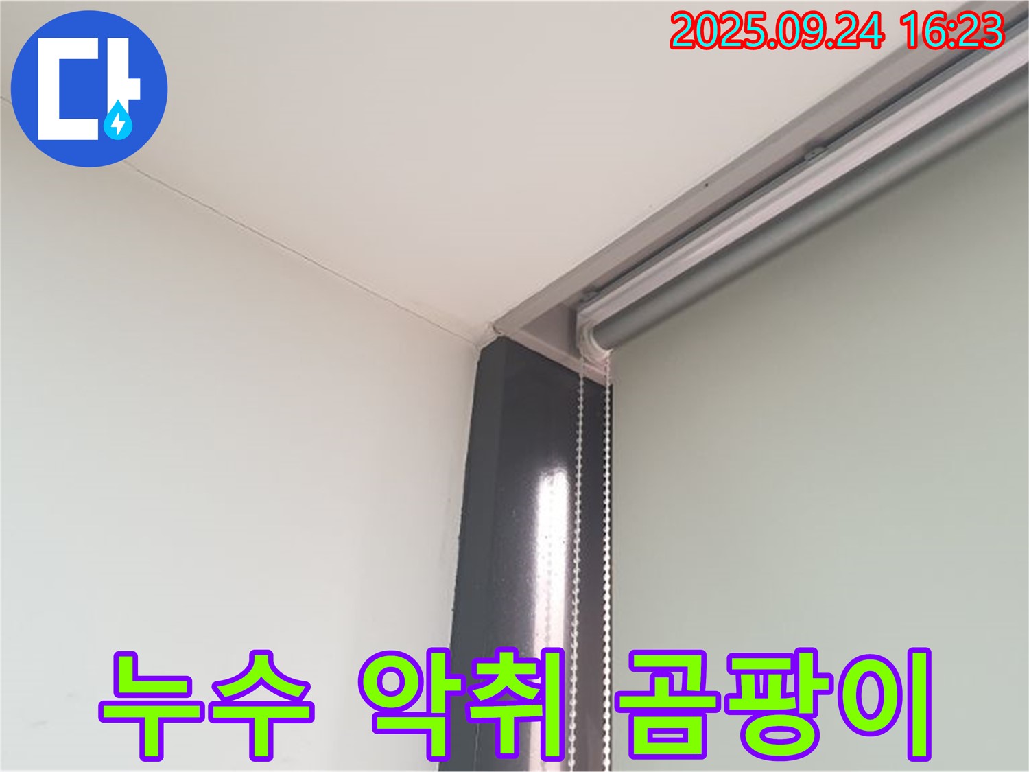공릉1동 천장 누수, 누수 부위 악취 - 곰팡이 번식을 의심하세요.