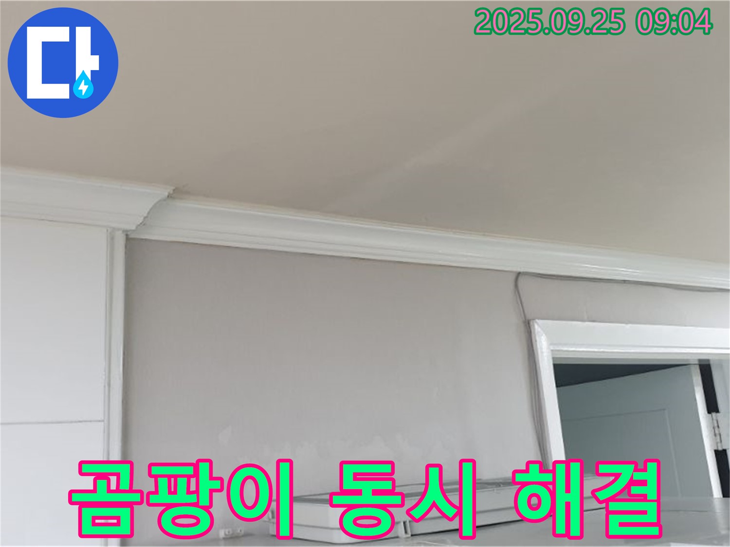 양주시 백석읍 연곡리 - 곰팡이 핀 벽지, 누수와 곰팡이 문제를 동시에 해결합니다.
