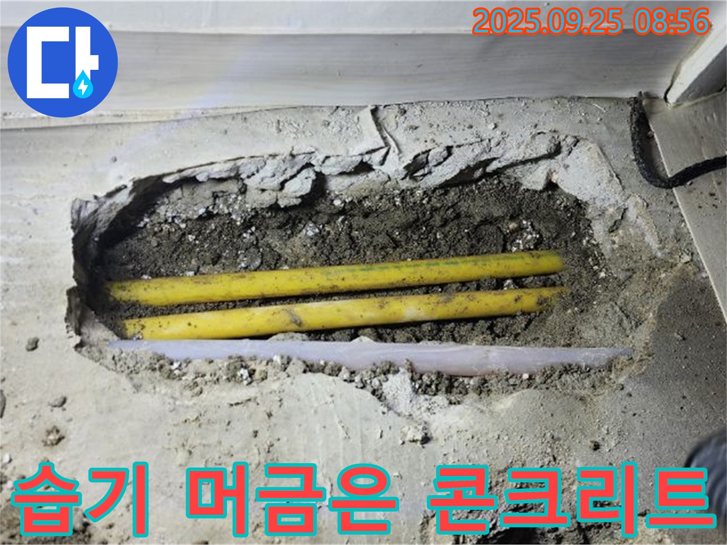 양주시 백석읍 연곡리 누수 현장에서 습기를 머금은 콘크리트 확인 - 누수의 명백한 증거 포착.