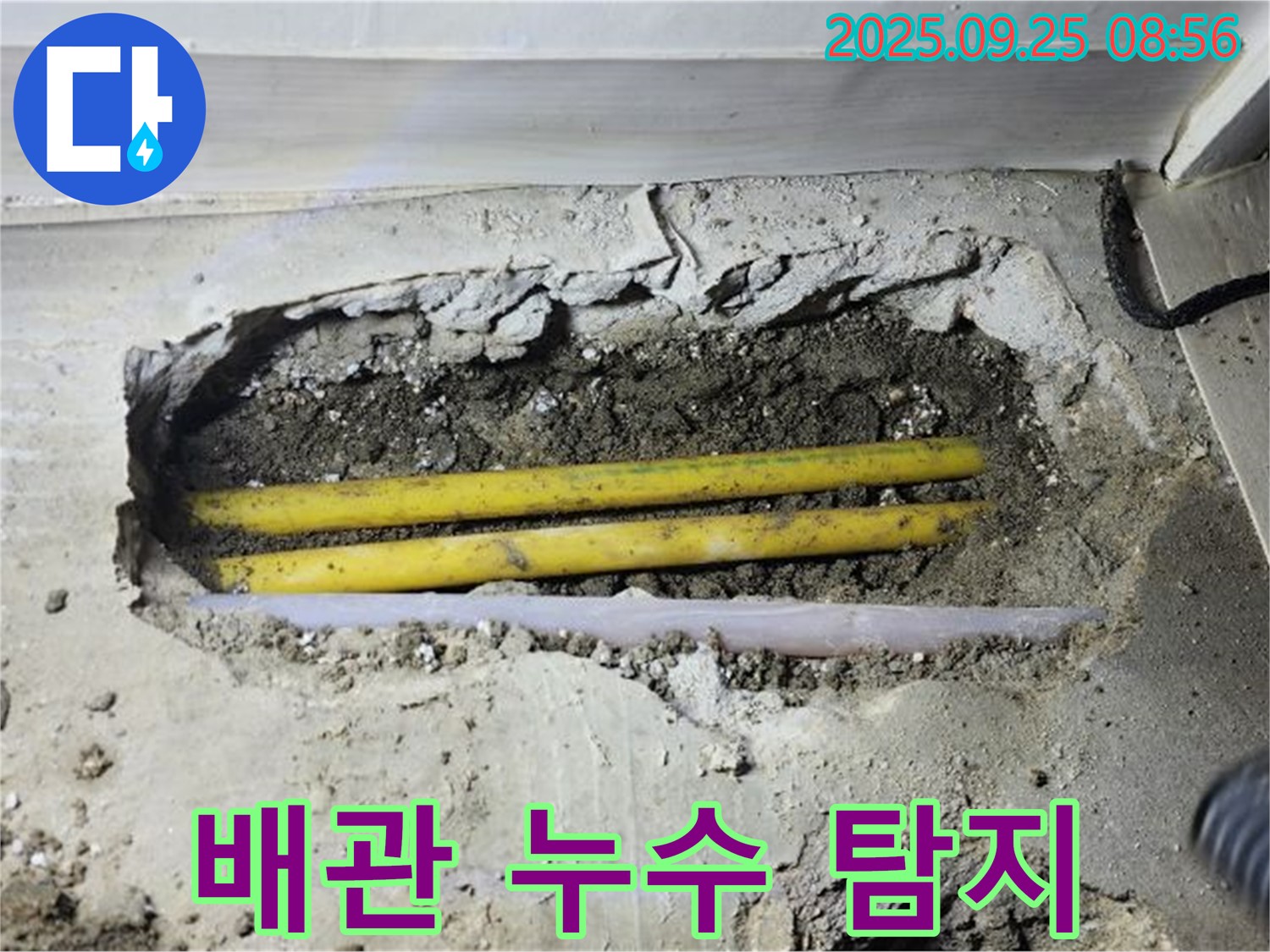 양주시 백석읍에서 누수탐지 전문가가 숨겨진 배관 누수를 정확하게 찾아냈습니다 - 누수 원인 파악 및 해결 과정.