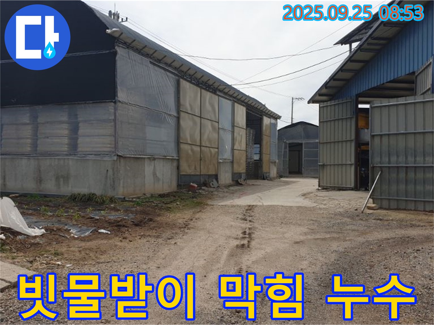 양주시 백석읍 복지리 - 축사 빗물받이 막힘 누수 - 빗물받이 청소 및 배수 개선