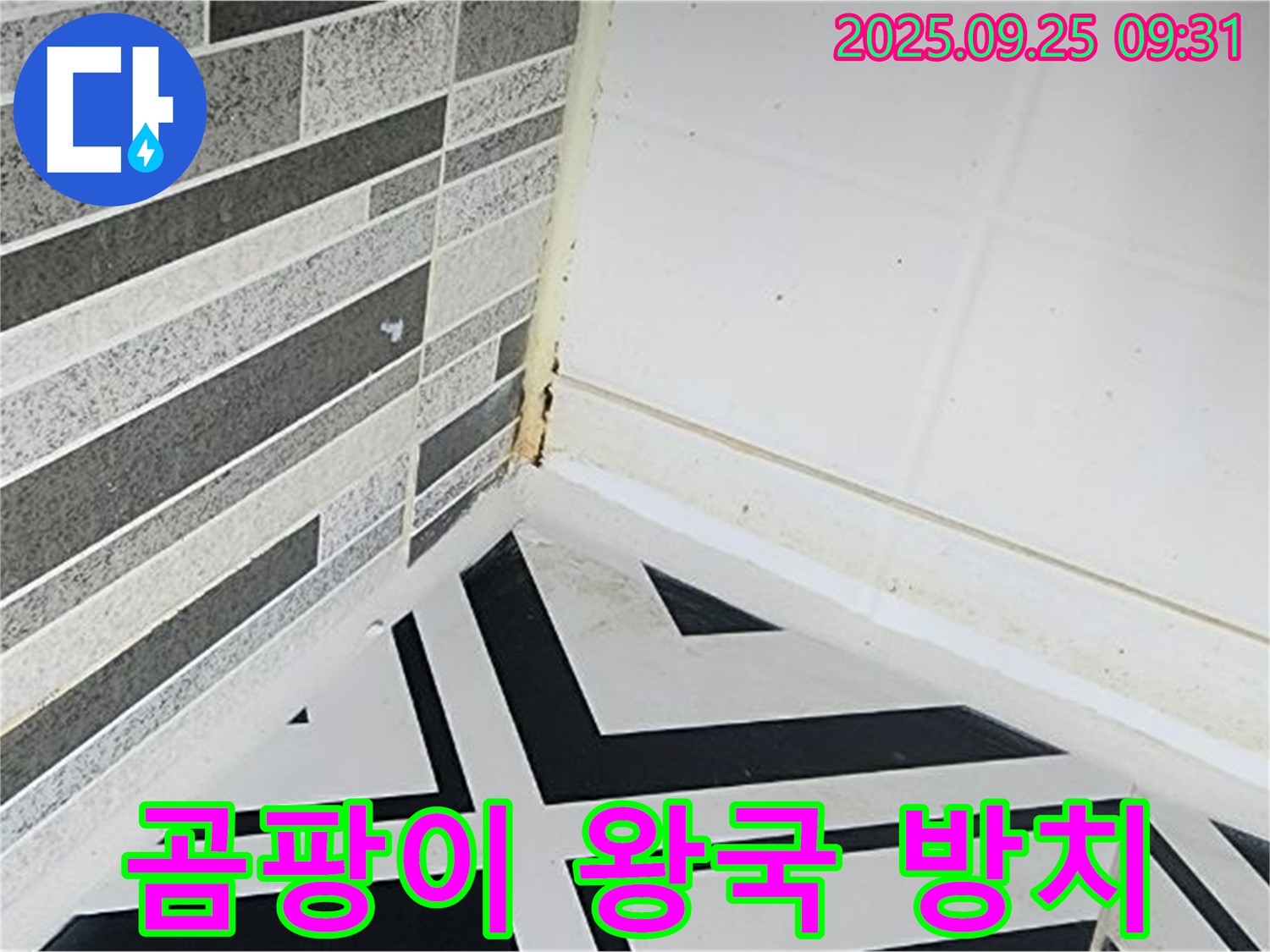 양주시 백석 - 곰팡이가 가득한 욕실 - 곰팡이 왕국을 연상시키는 이미지