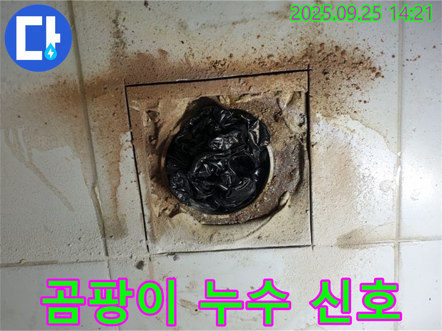 의정부 배수구 곰팡이 - 누수 신호일 수 있습니다!