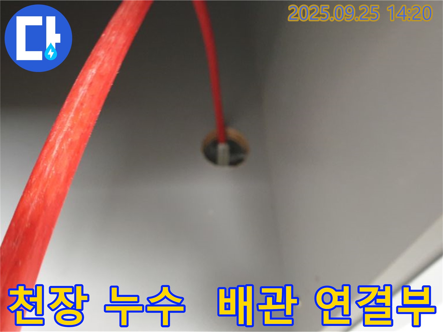 의정부시 2동 주택 천장 누수 - 배관 연결부에서 누수 발생
