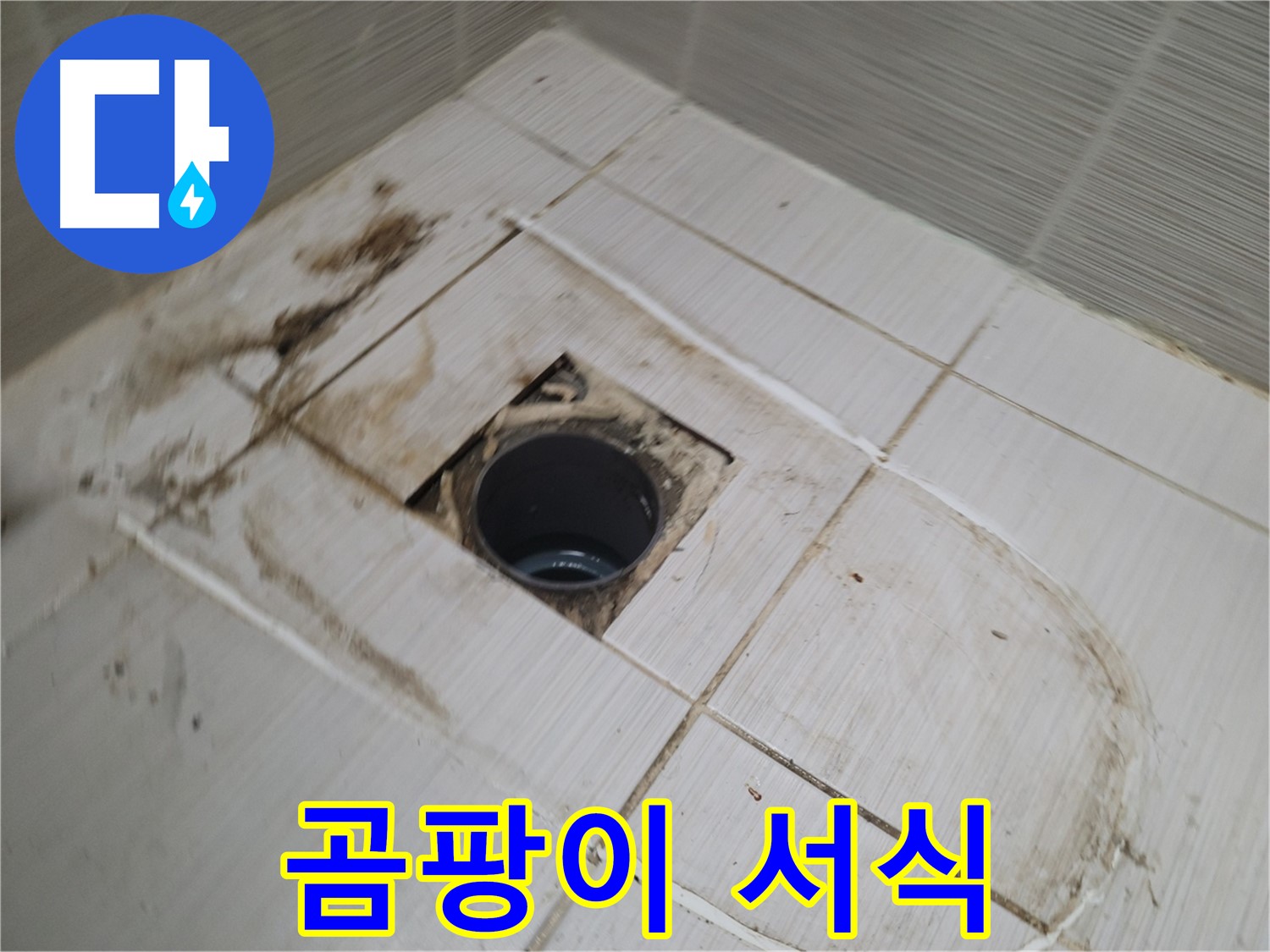 곰팡이 서식 - 누수 원인 집중 분석