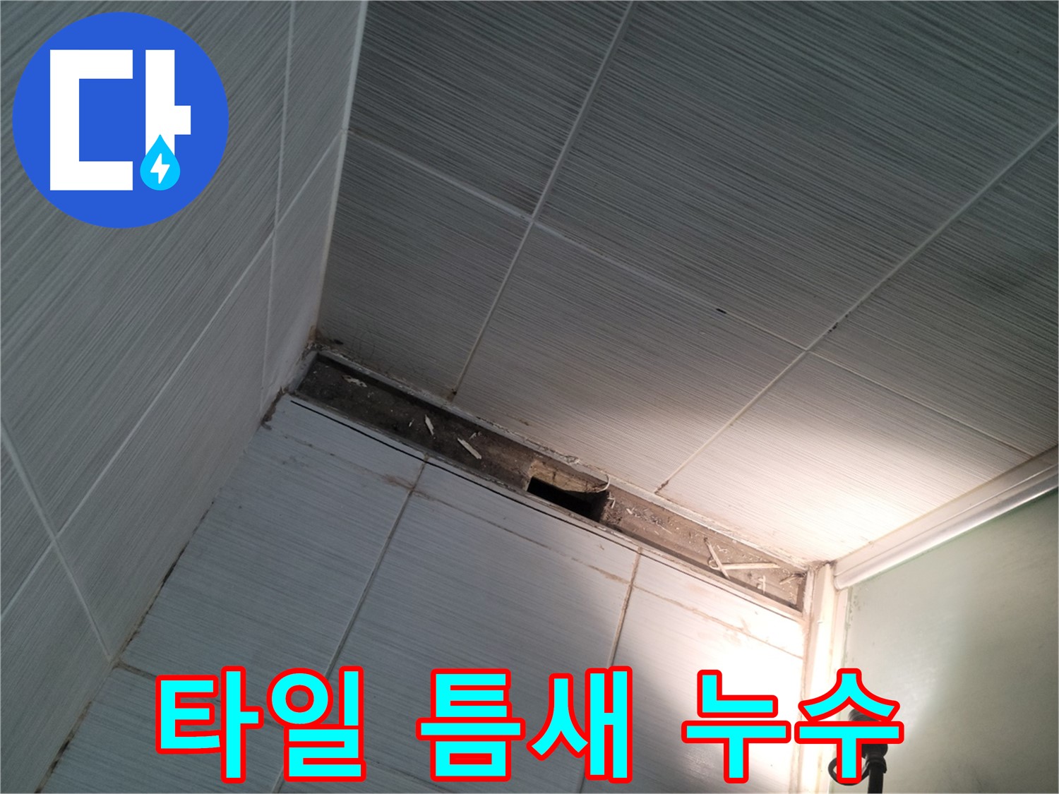 동두천 강변로 타일 틈새 누수 - 문제 발견