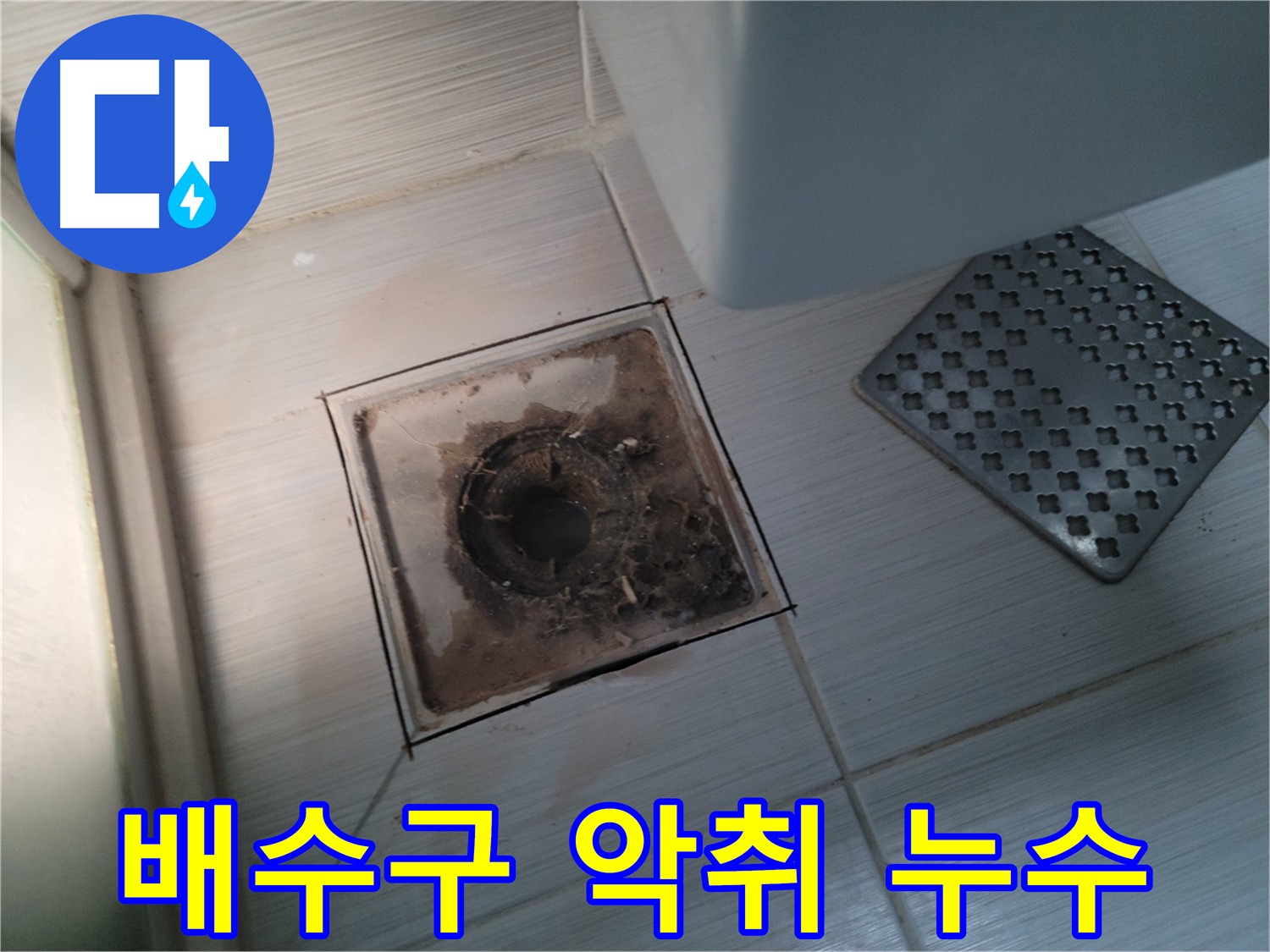 욕실 배수구 - 악취 발생 - 누수와의 연결고리 진단