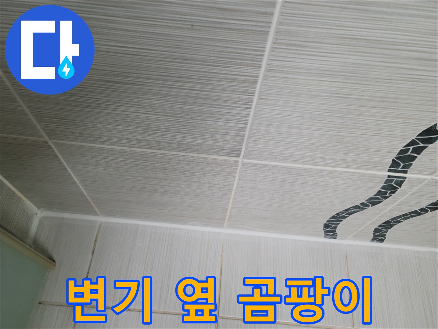 동두천 누수 - 화장실 변기 옆 타일 틈새에 곰팡이가 발생한 모습입니다.