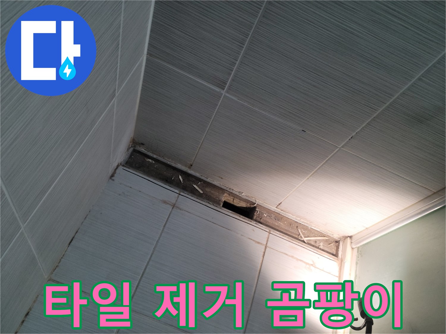 동두천 동두천동 타일 제거 후 곰팡이 - 습한 환경